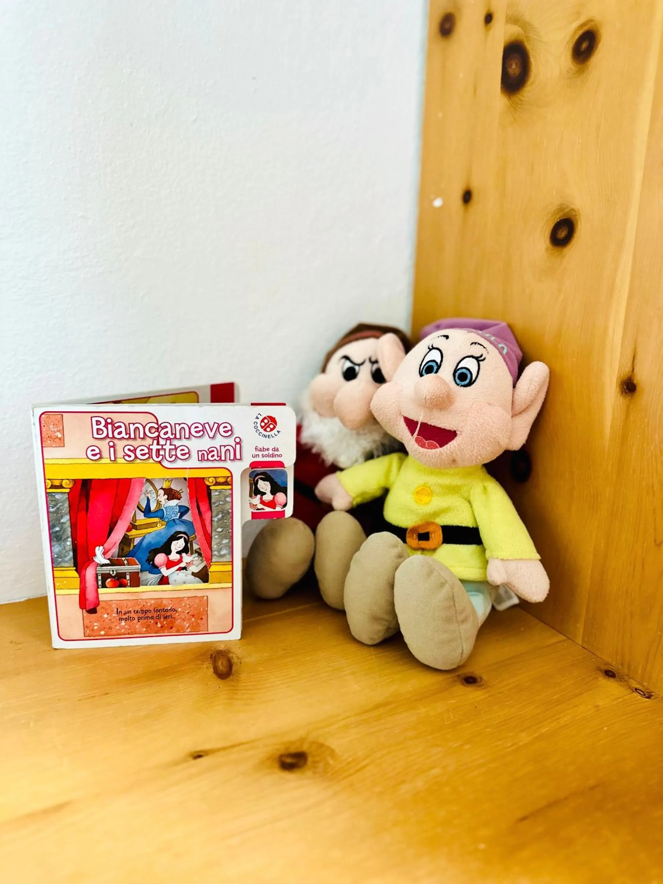 Decorative detail in Alpen Family Hotel Someda