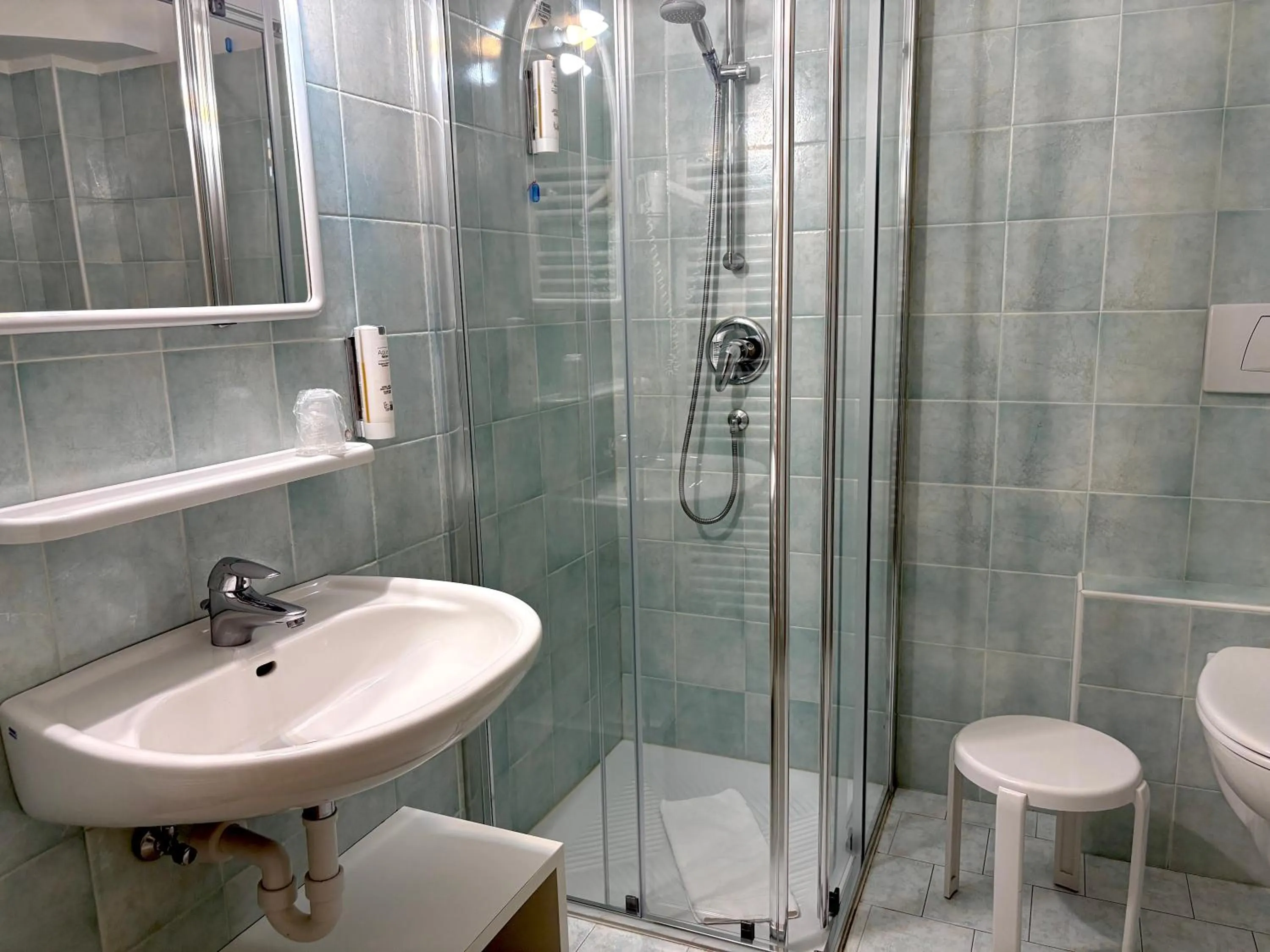 Bathroom in Alpen Family Hotel Someda