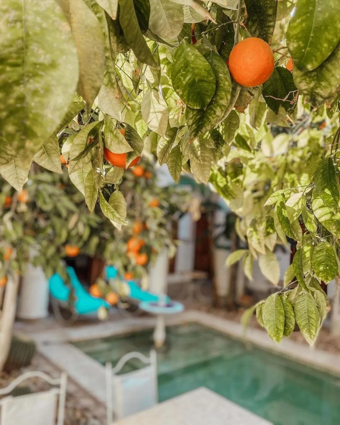 Swimming pool in Riad Slitine & Spa