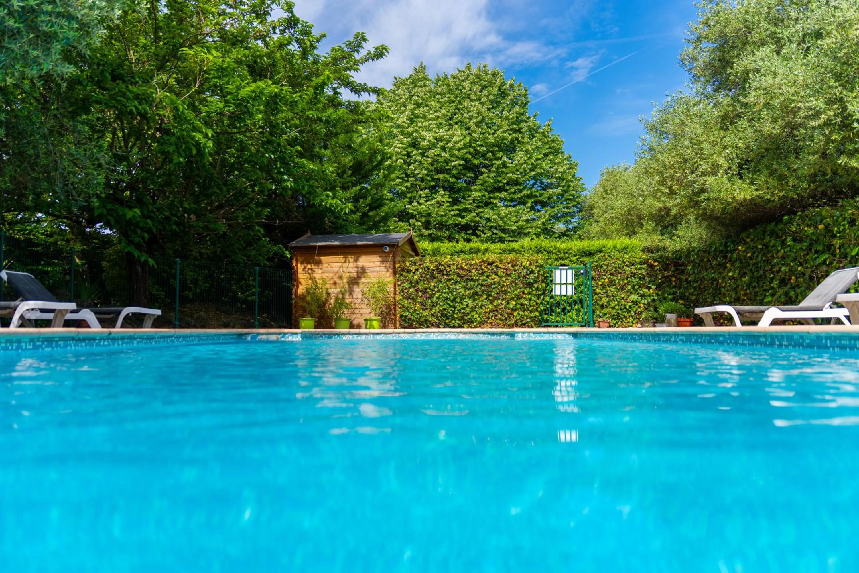 Swimming pool in Hotel Les Oliviers