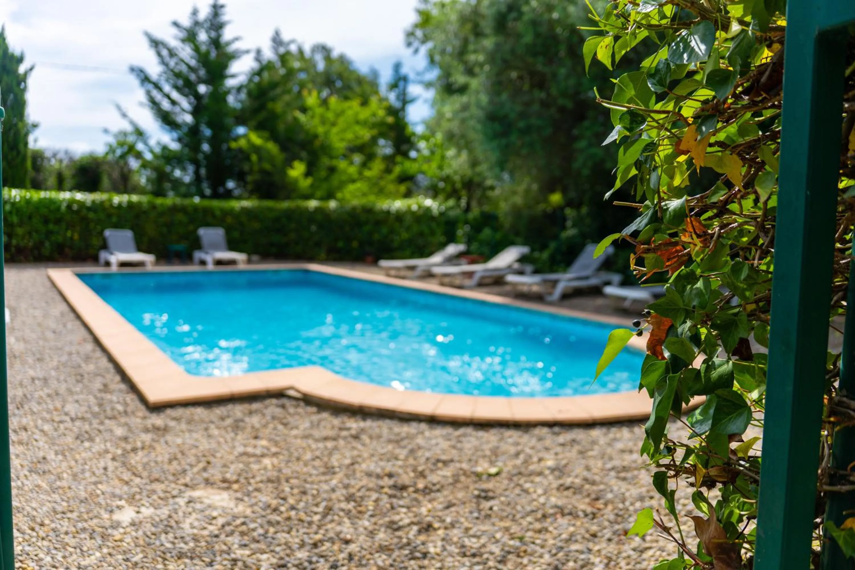 Swimming pool in Hotel Les Oliviers