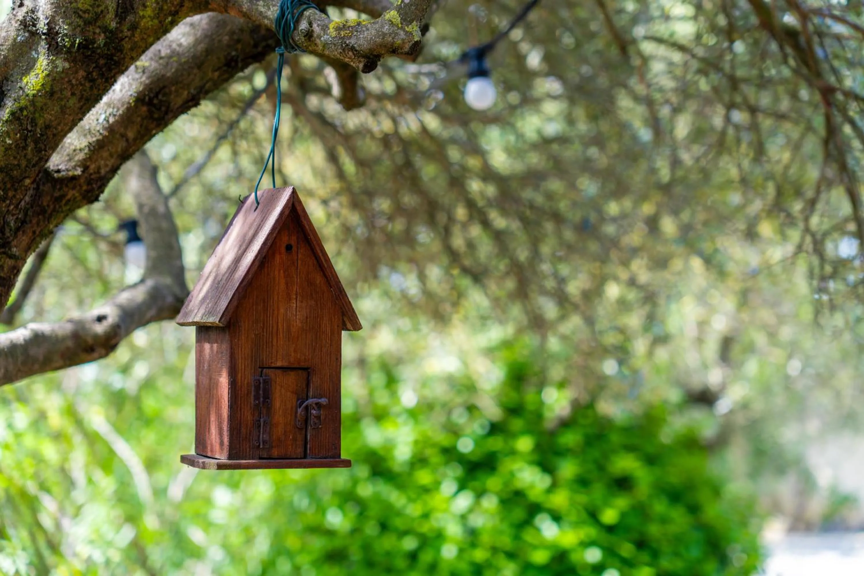 Garden in Hotel Les Oliviers