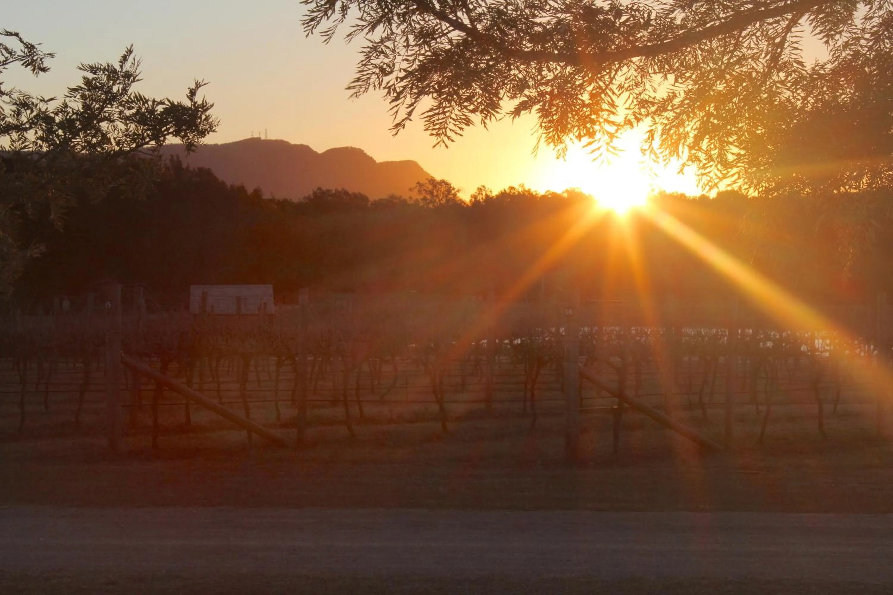 Sunset in The Carriages Boutique Hotel and Vineyard