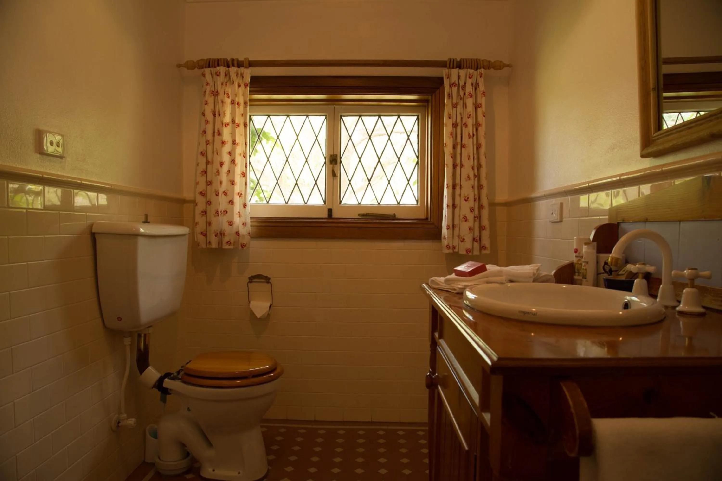 Toilet in The Carriages Boutique Hotel and Vineyard