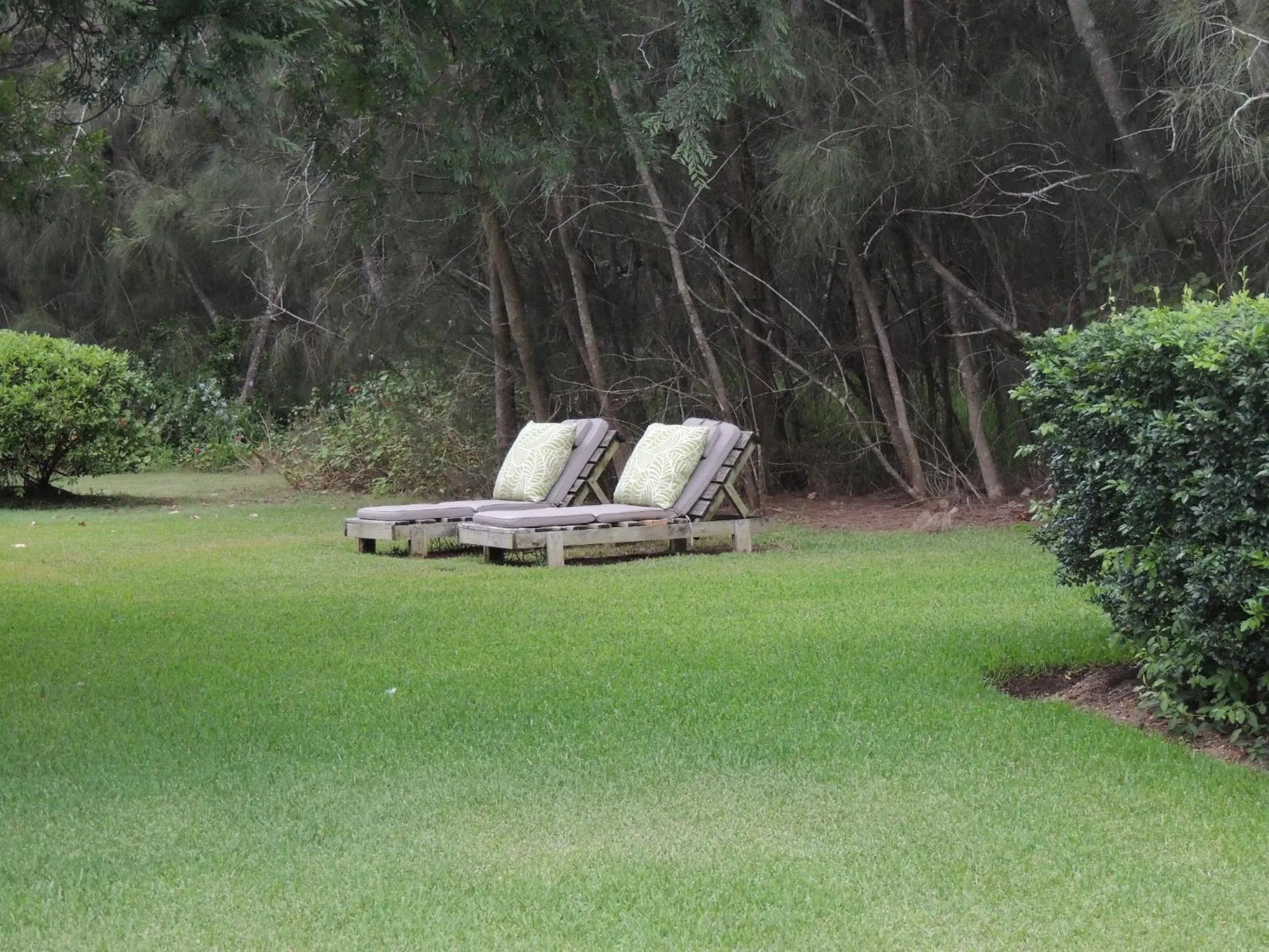 Garden in The Carriages Boutique Hotel and Vineyard