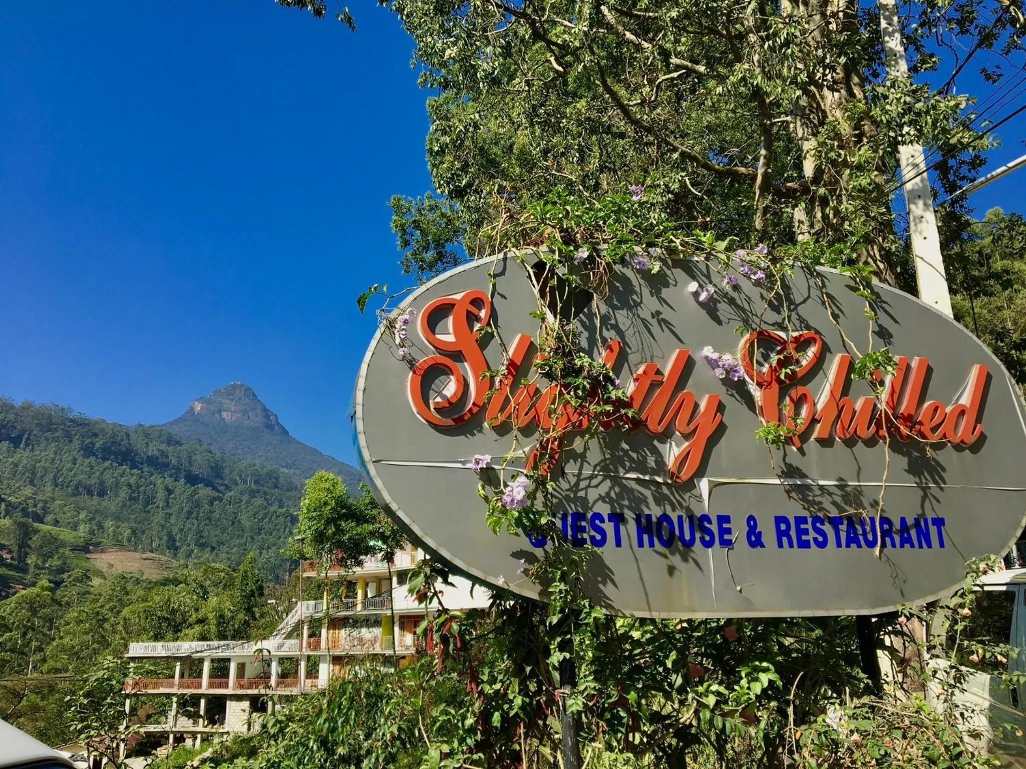 Property building in Slightly Chilled