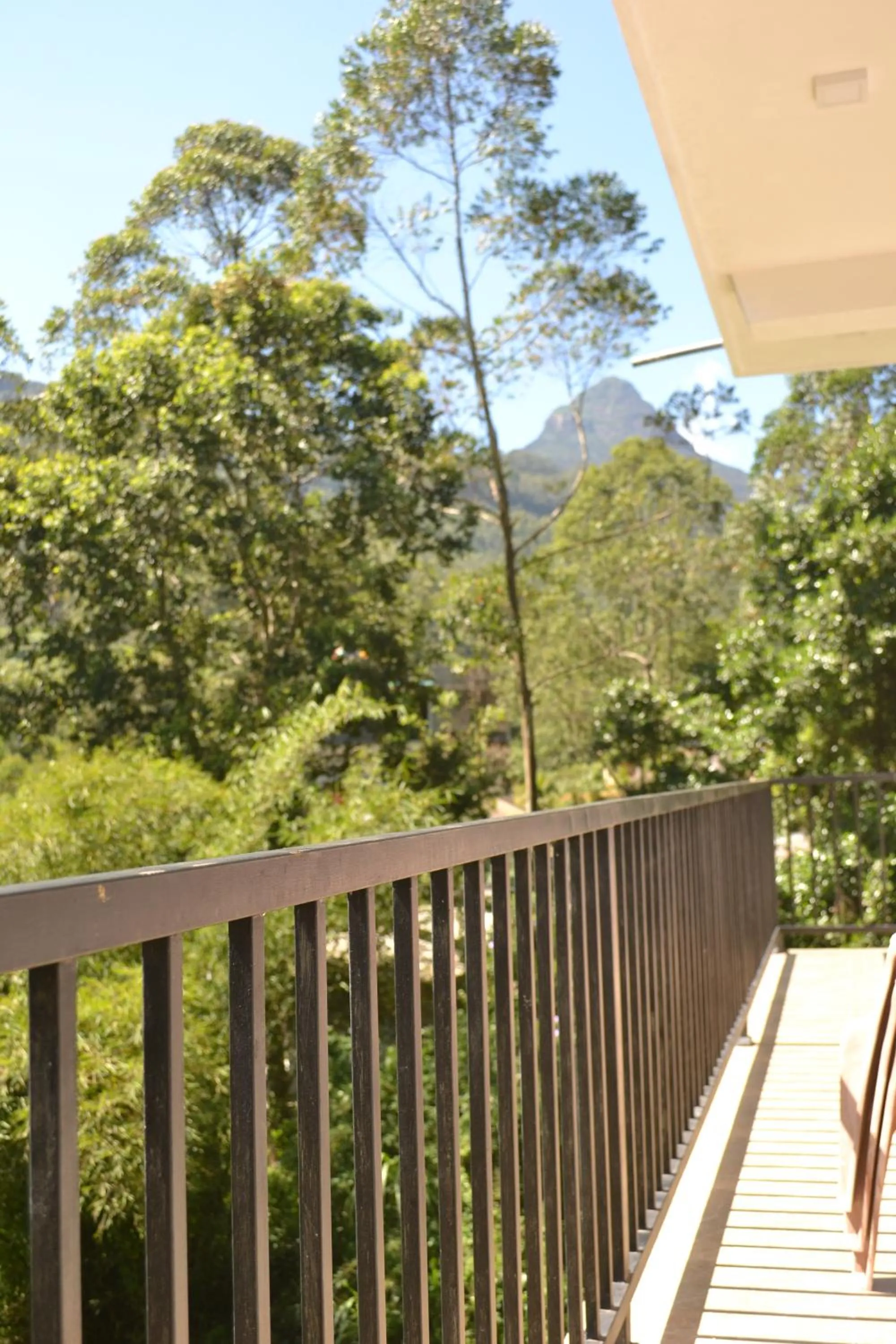 Balcony/Terrace in Slightly Chilled
