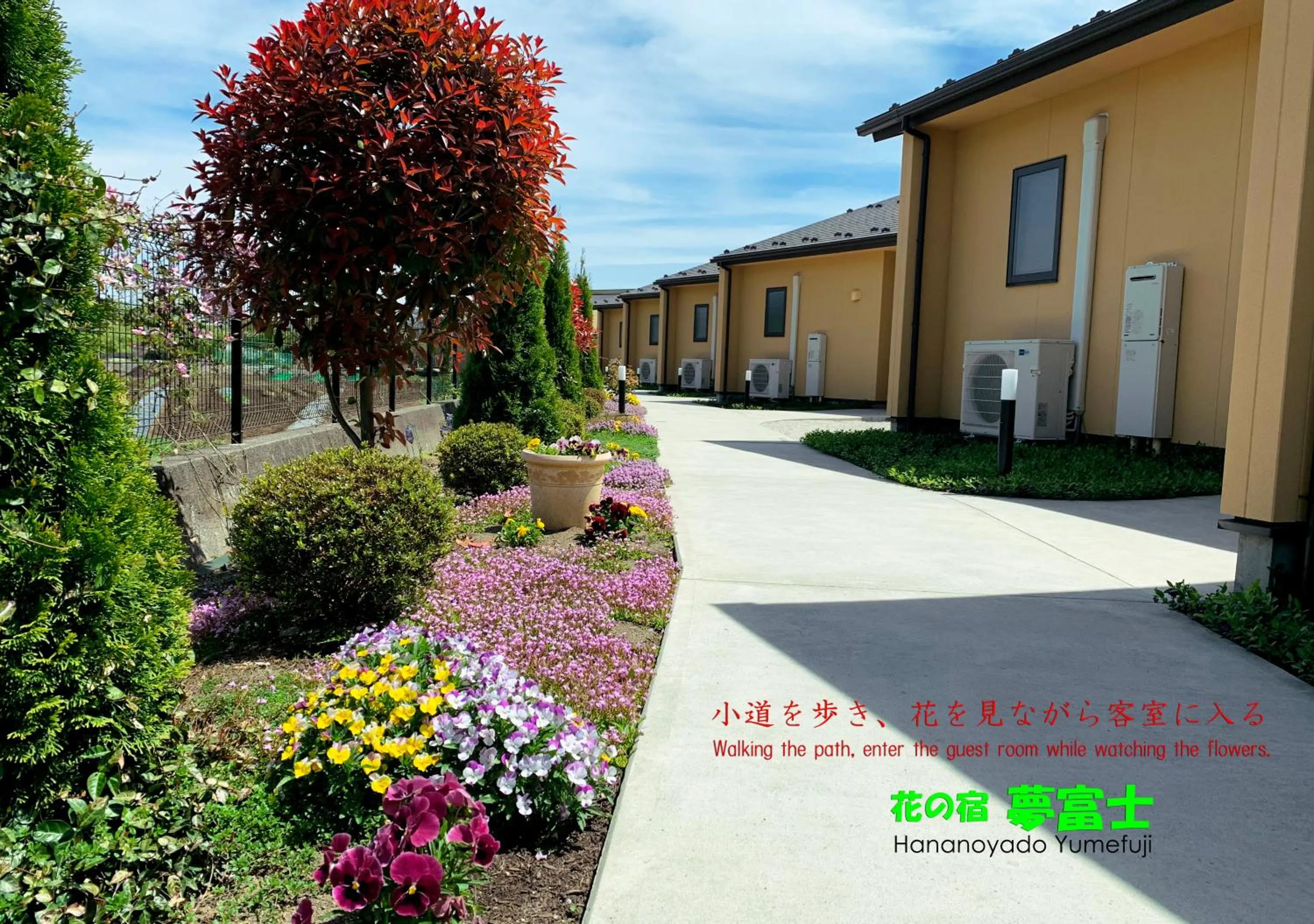 Hananoyado Yumefuji