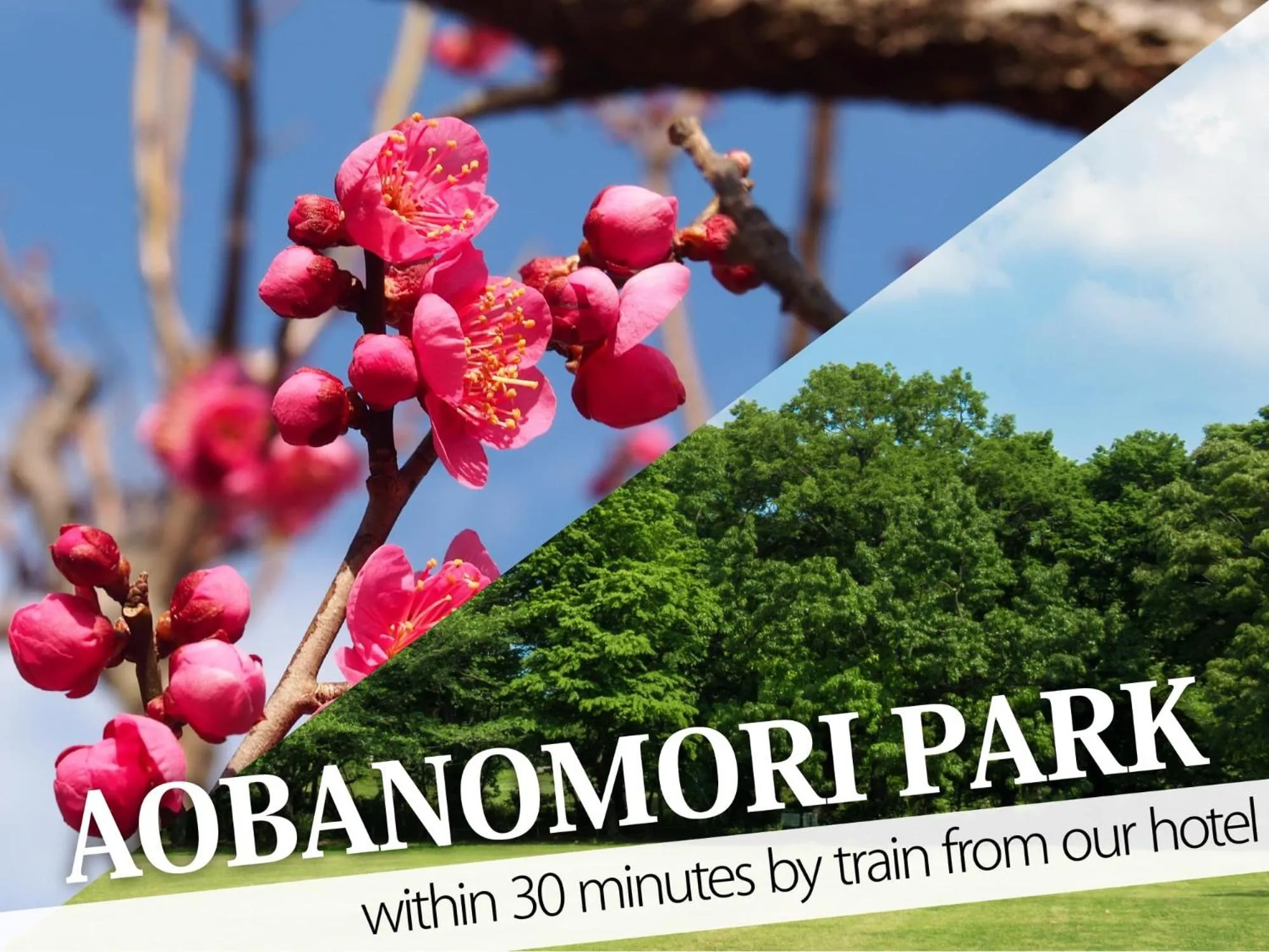 Nearby landmark in Hotel Century