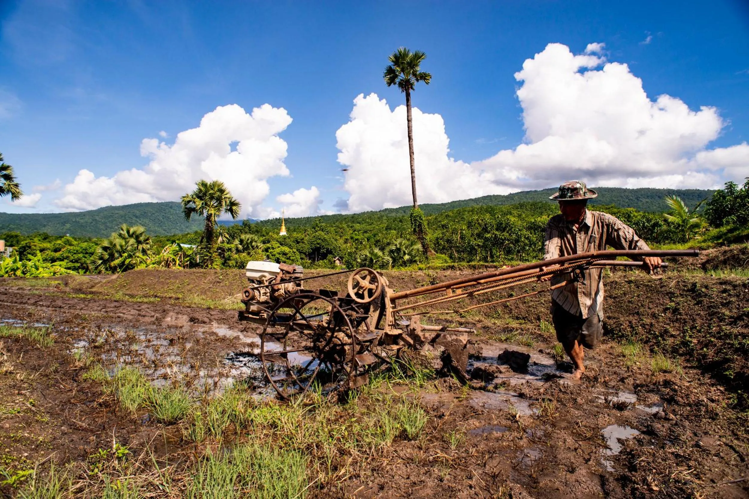 Neighbourhood in Suan Sook Homestay