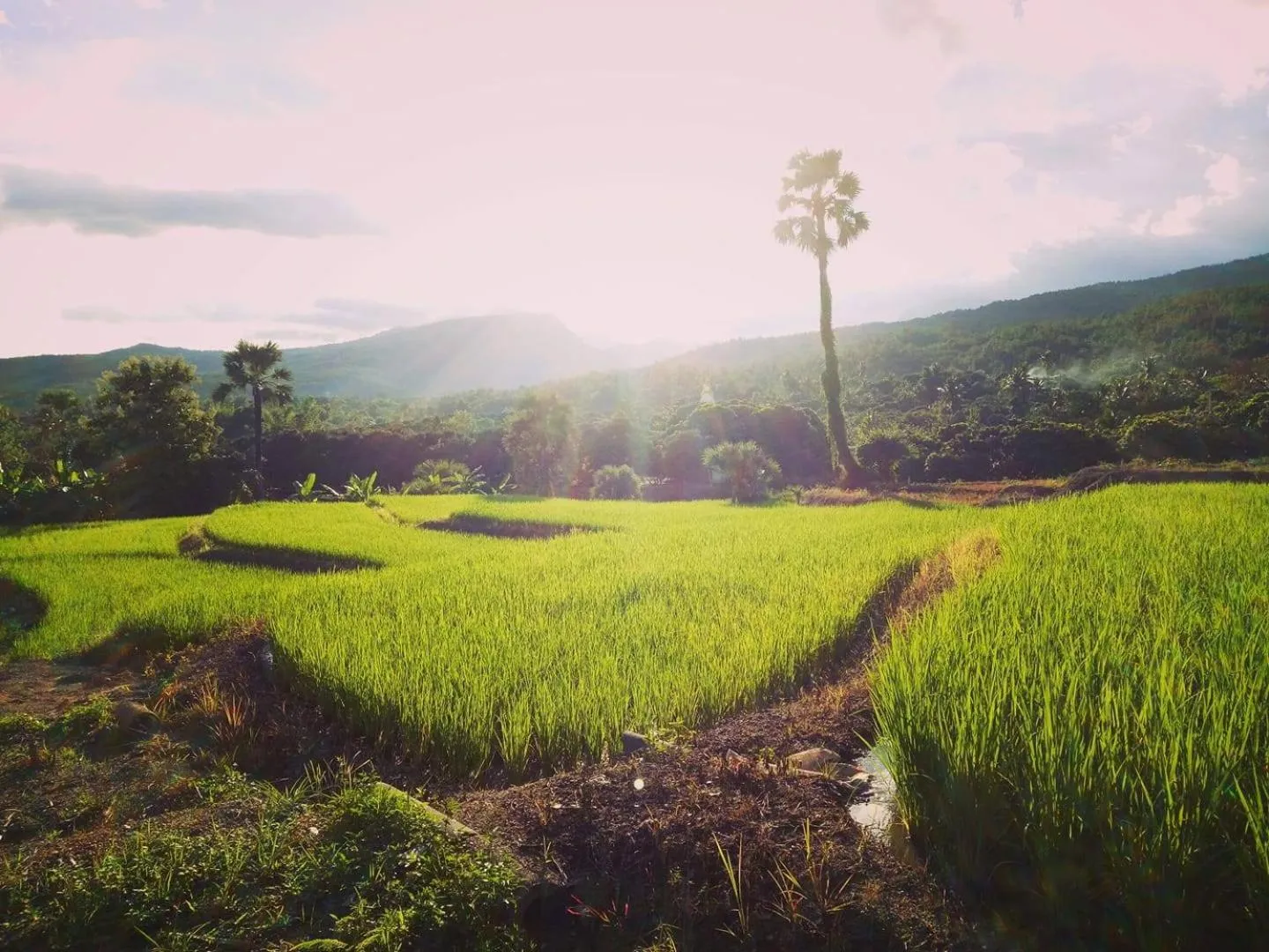 Nearby landmark in Suan Sook Homestay