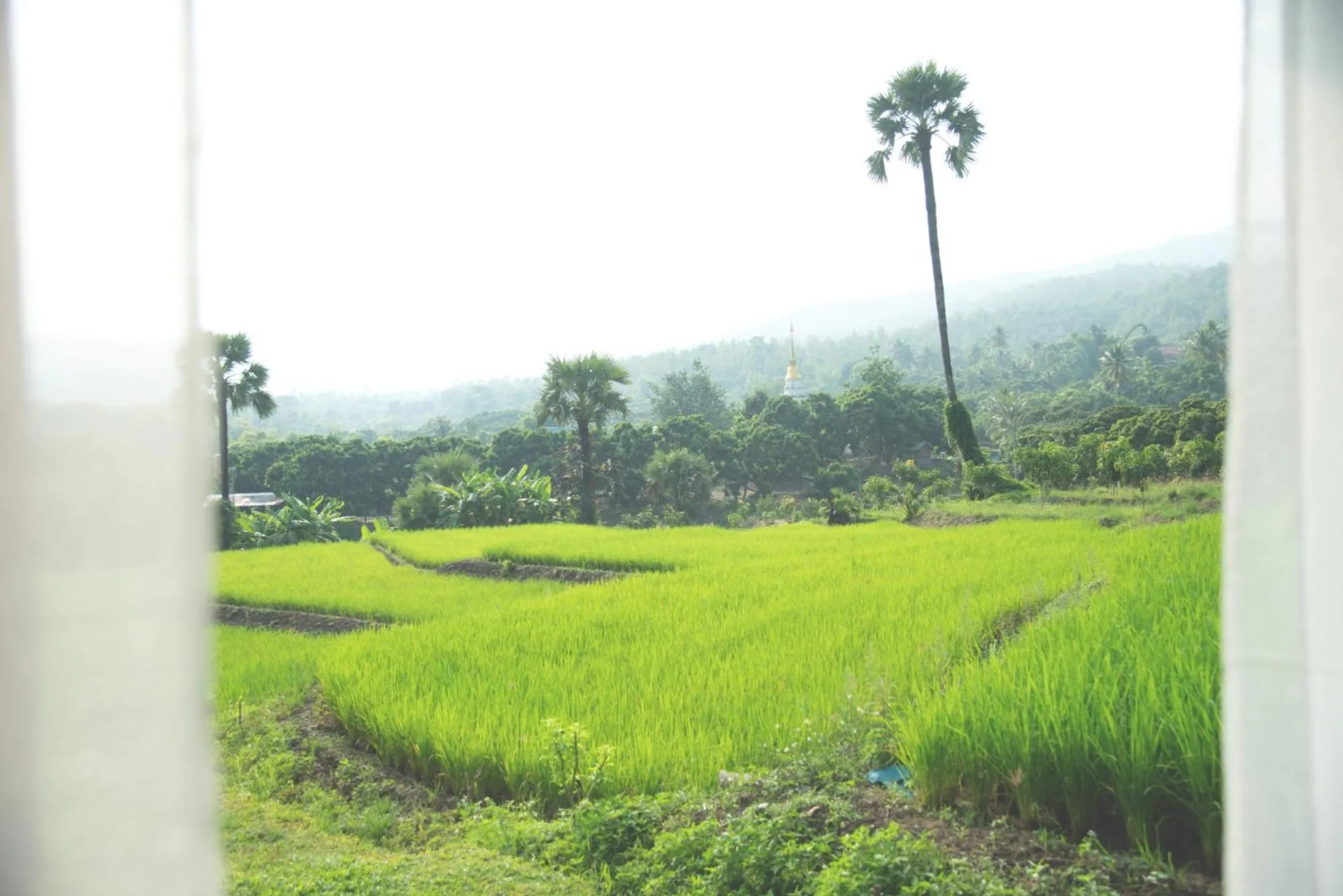 Day in Suan Sook Homestay