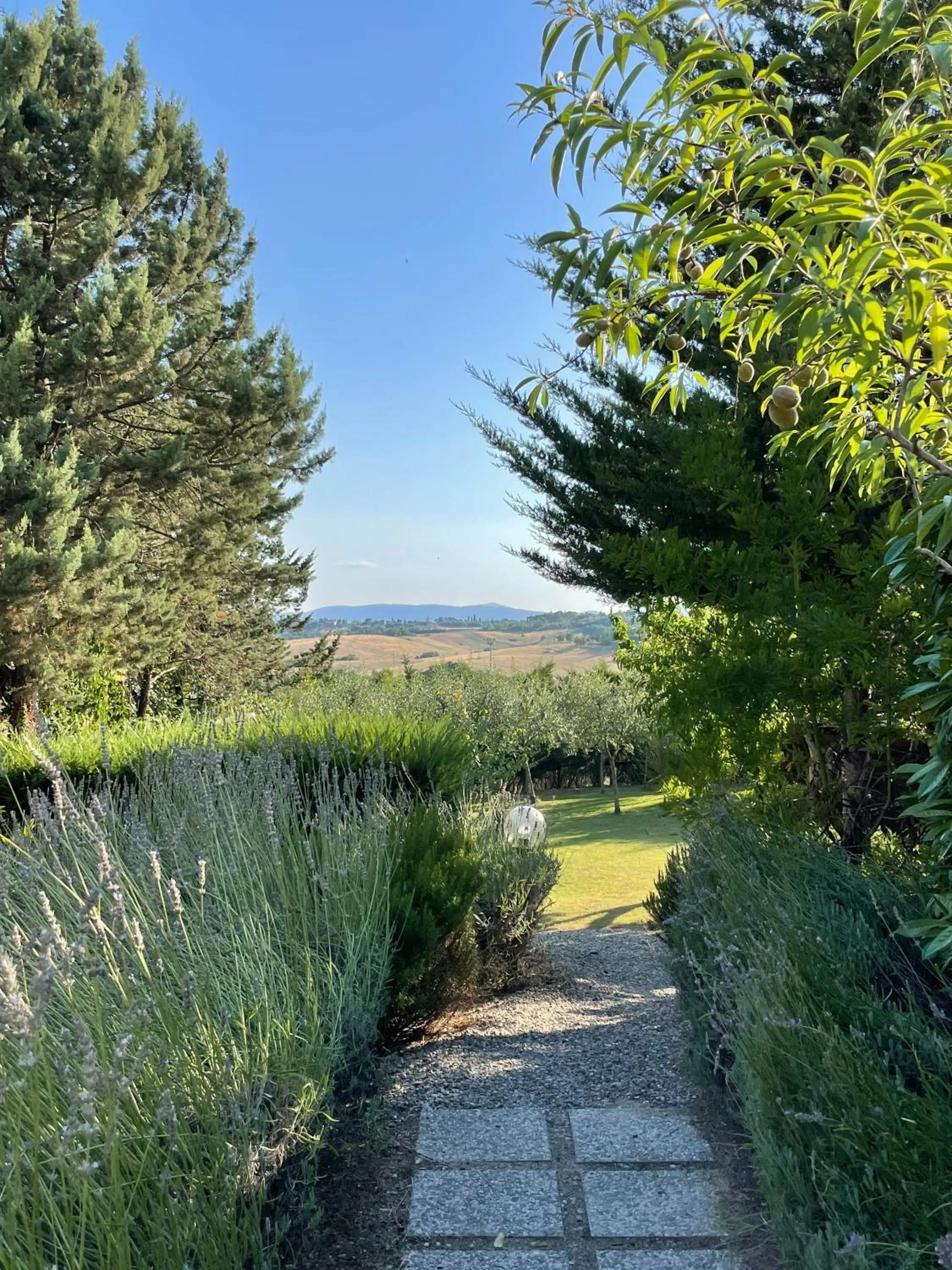 Garden in Il Lavandeto - farmhouse in the city