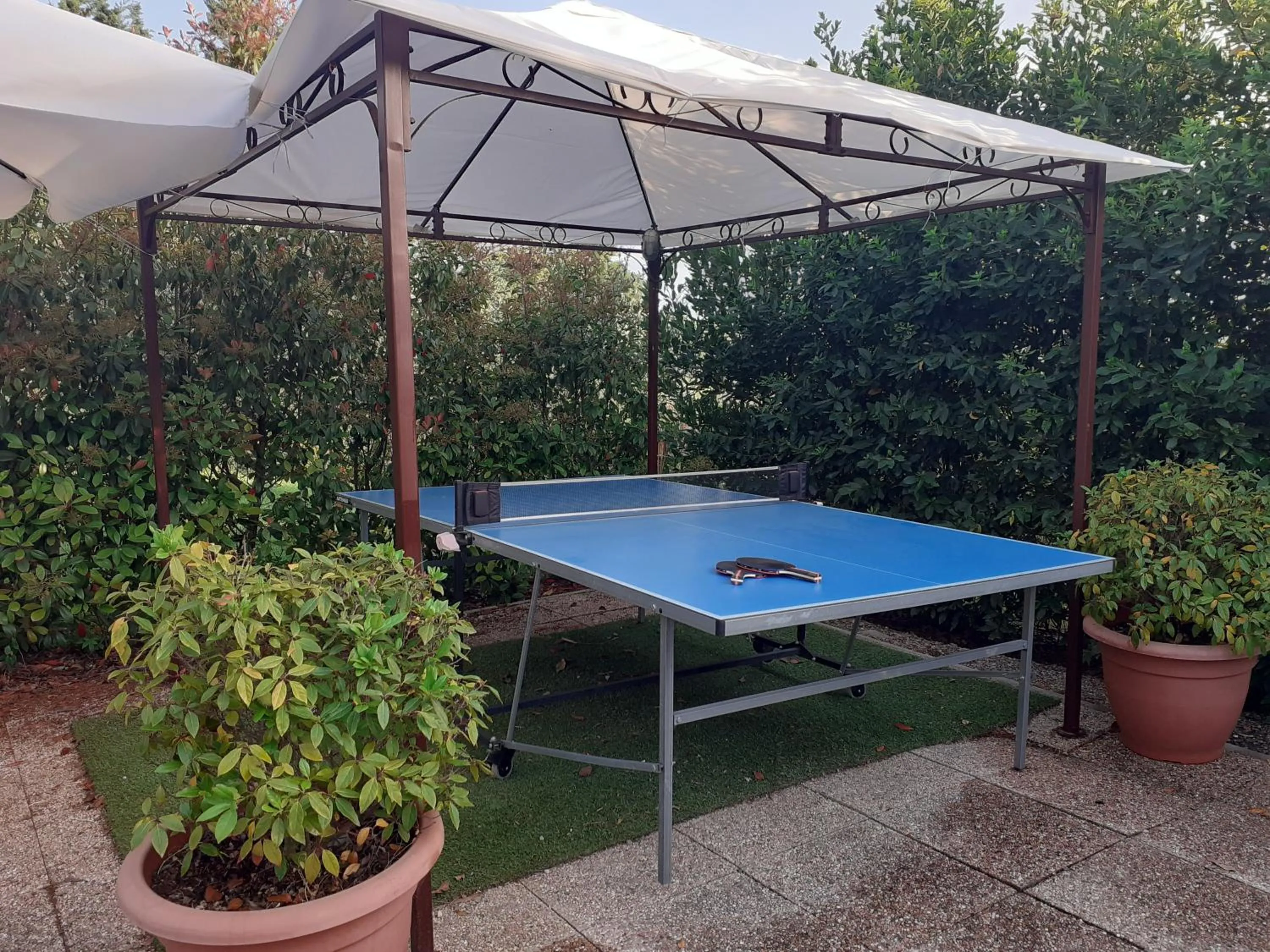 Table tennis in Il Lavandeto - farmhouse in the city