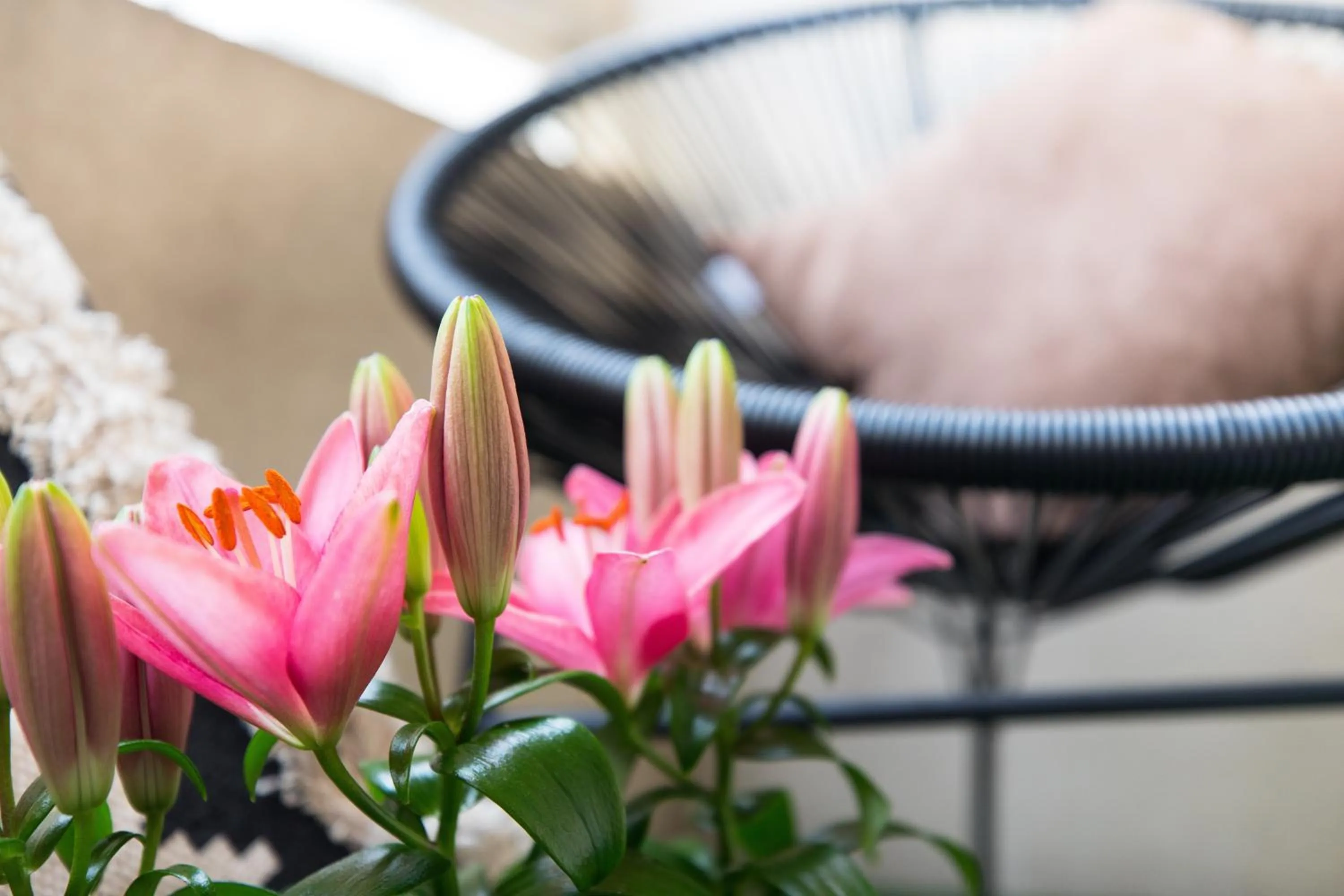 Decorative detail in Hôtel des Beaux Arts