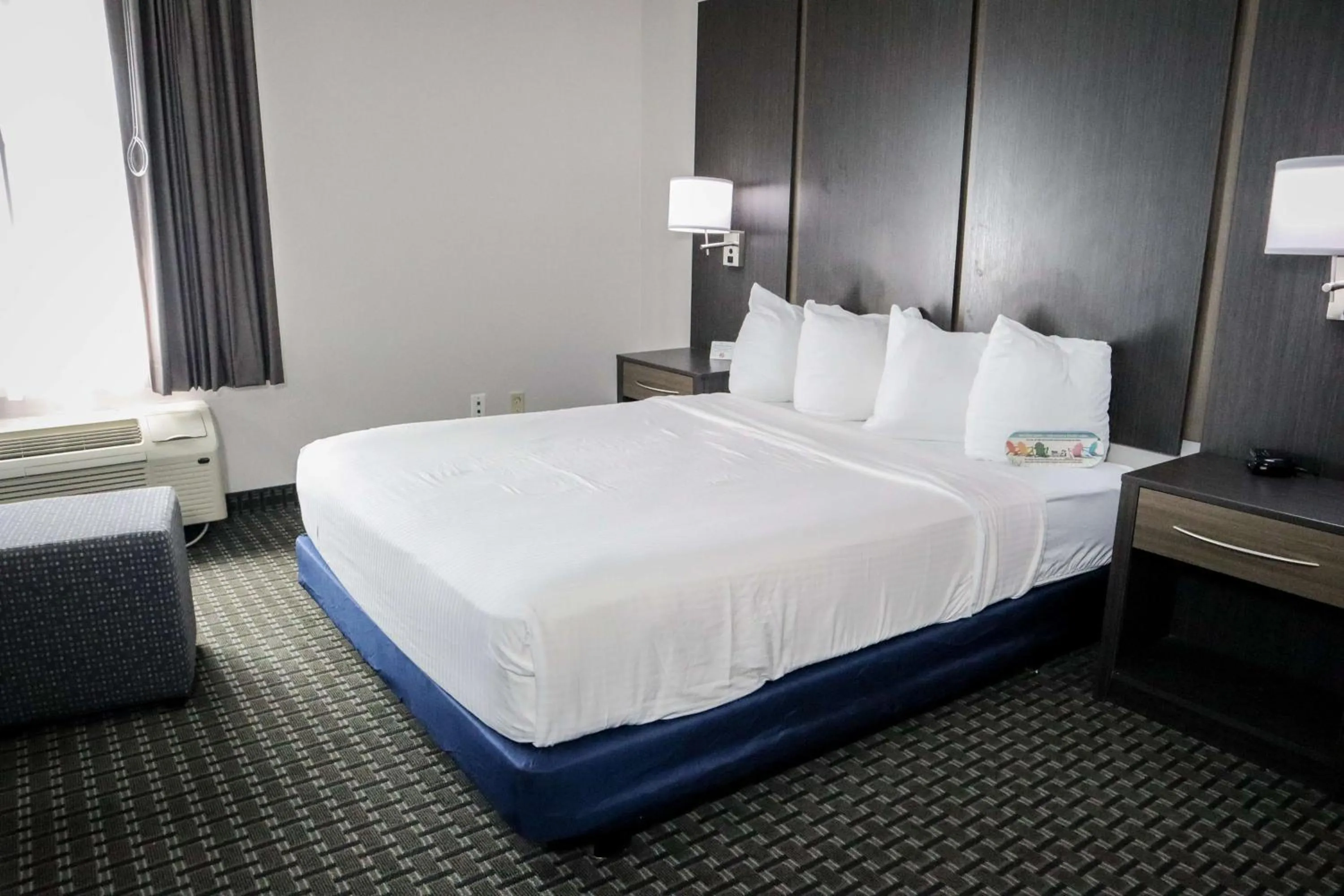 Bedroom, Bed in Best Western Ocala Park Centre