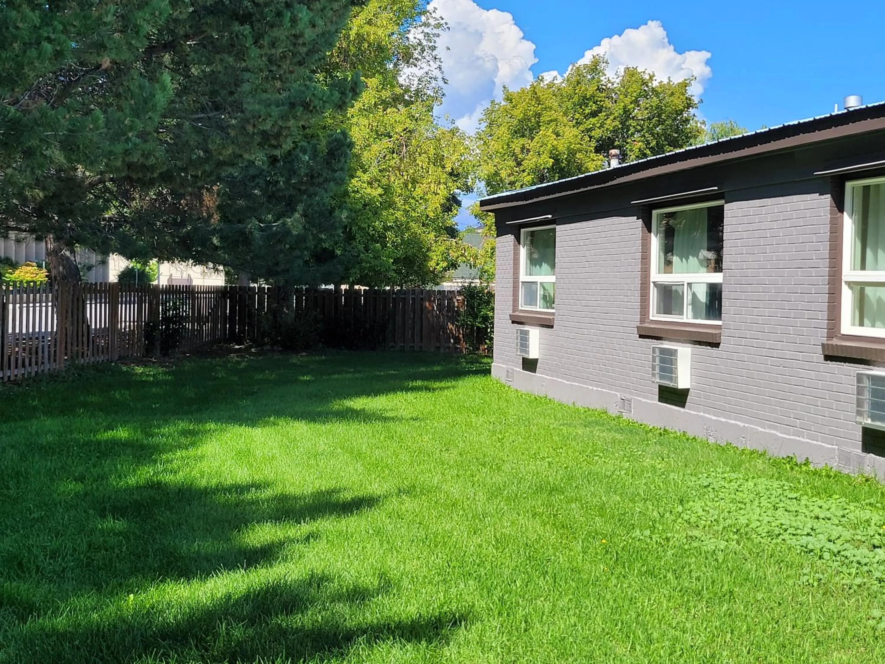 Pets in Bridge Street Inn