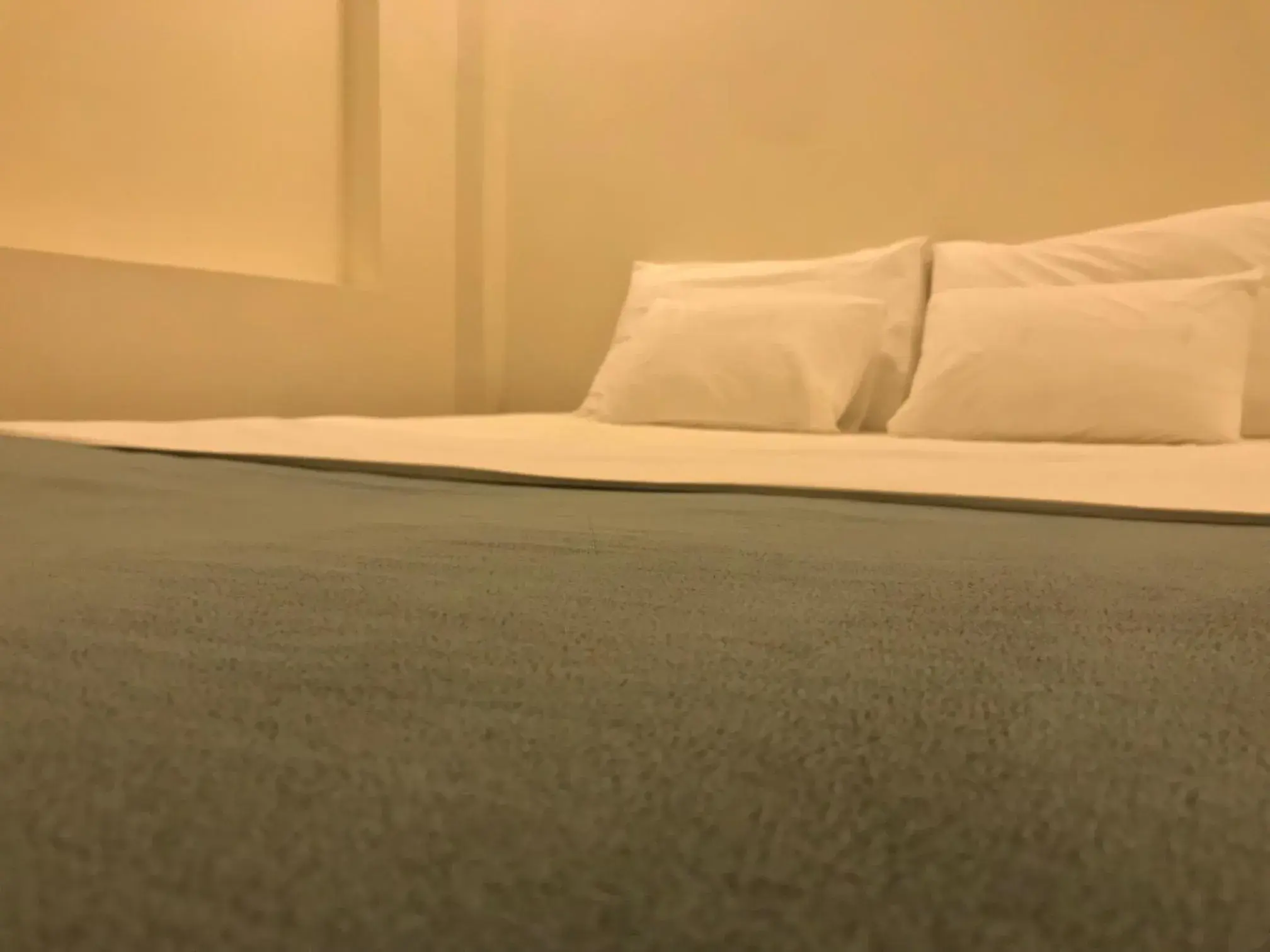 Hotel Pure Hotel Pure