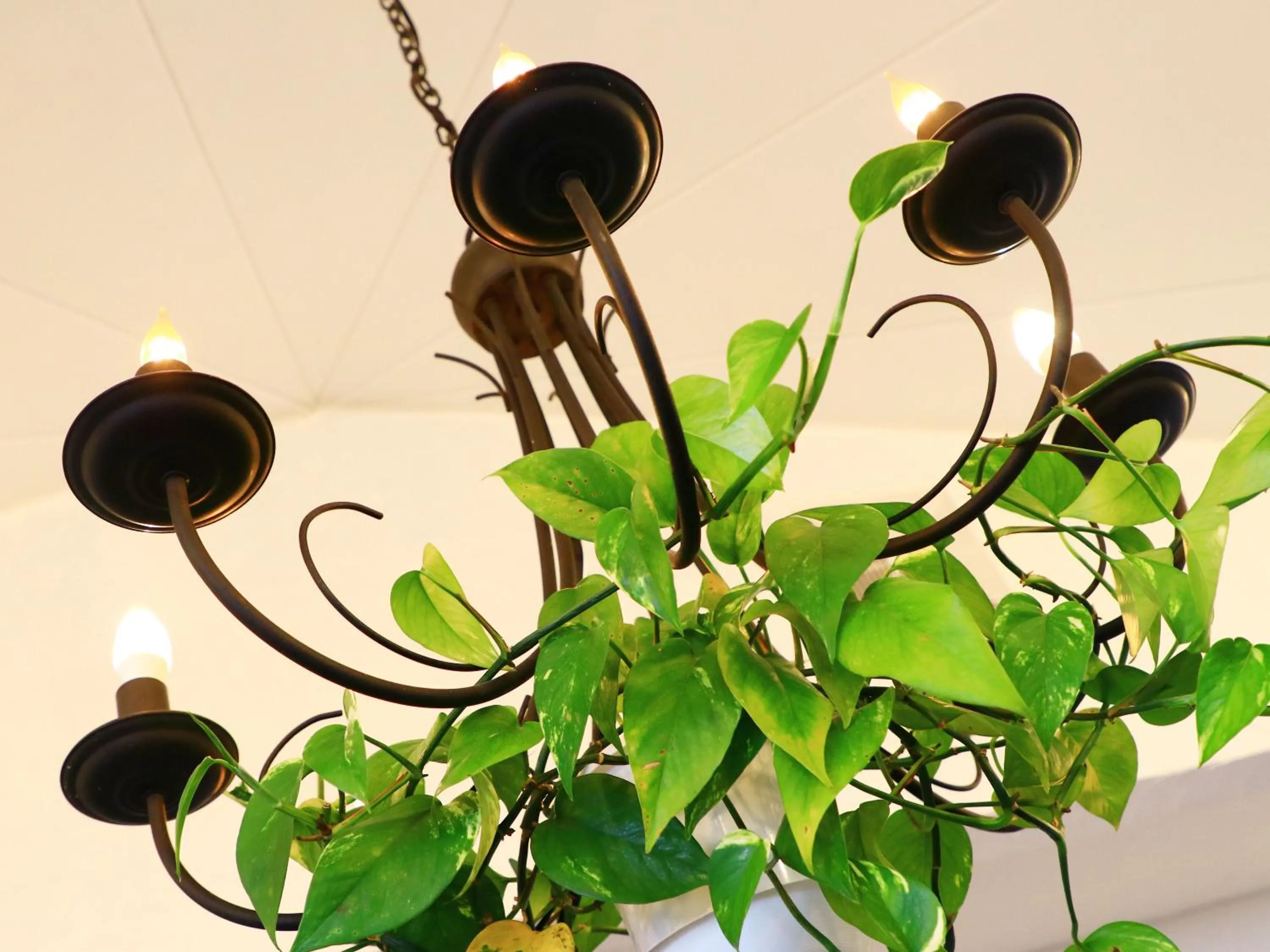 Decorative detail in Mujuan