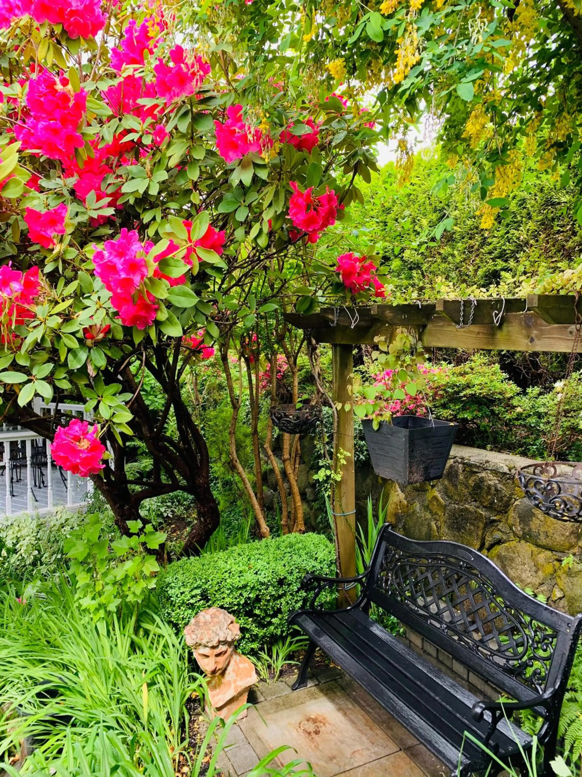 Garden in Crystal's View Bed & Breakfast