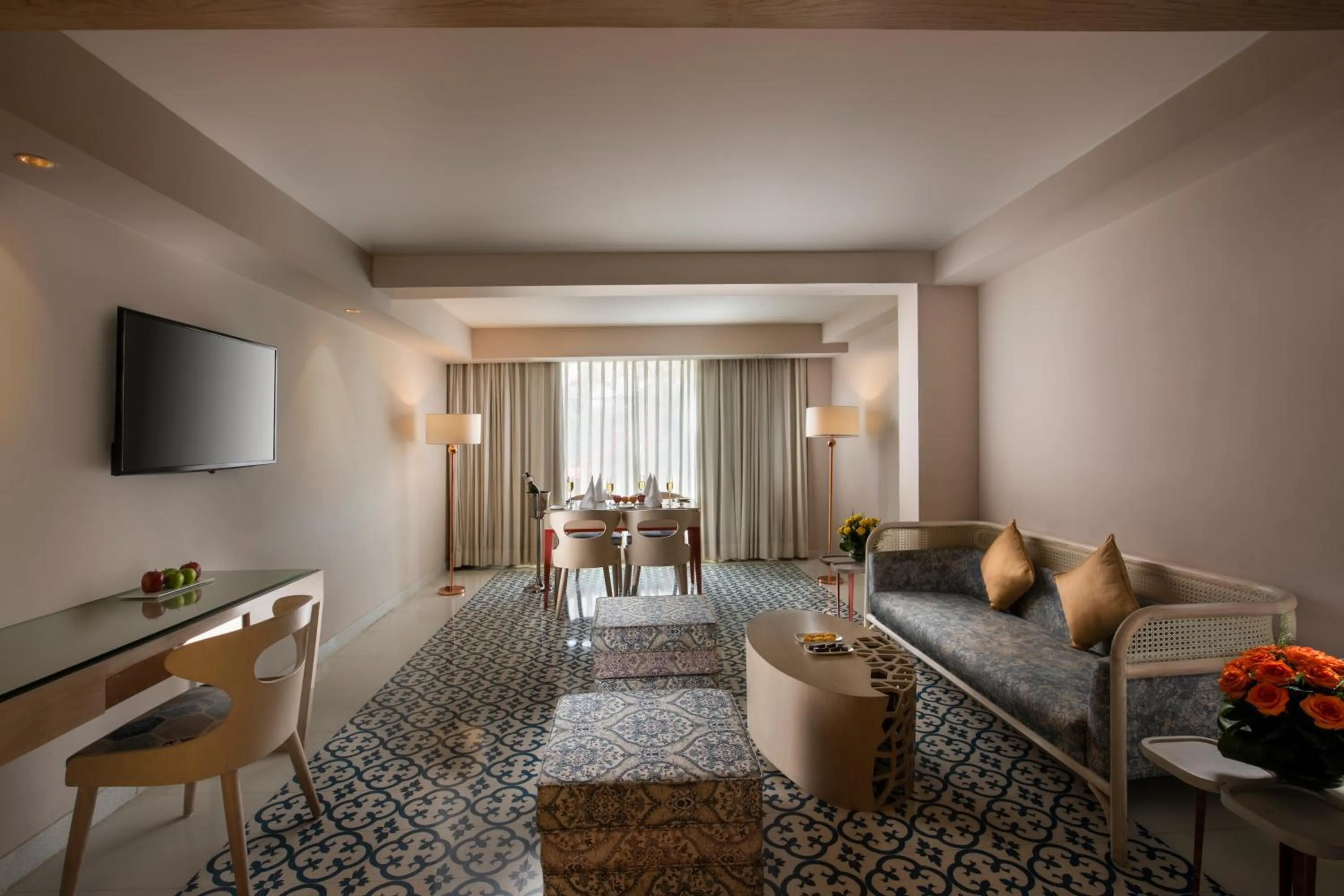 TV and multimedia in Sarovar Premiere Jaipur