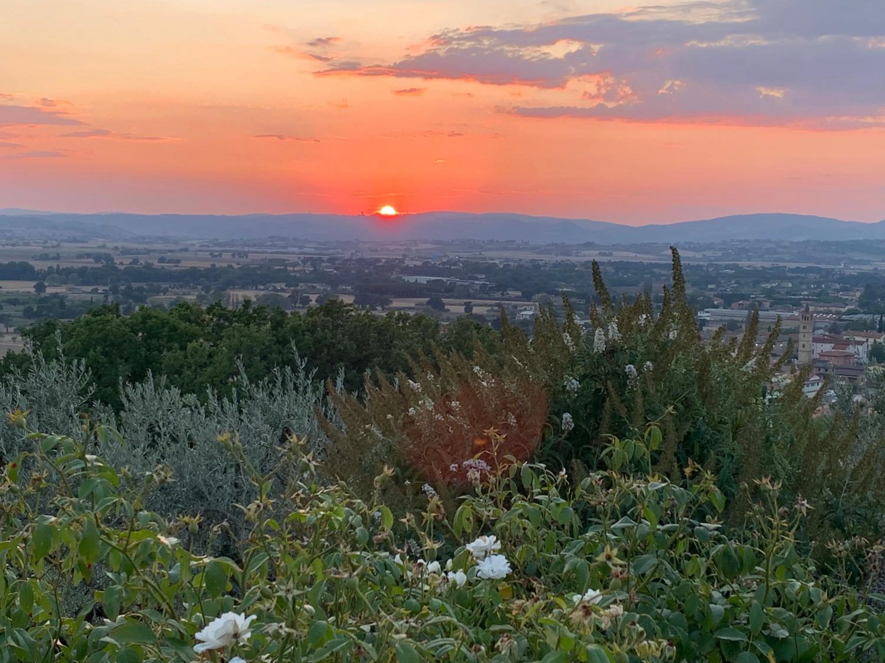 Property building in Amazing Assisi