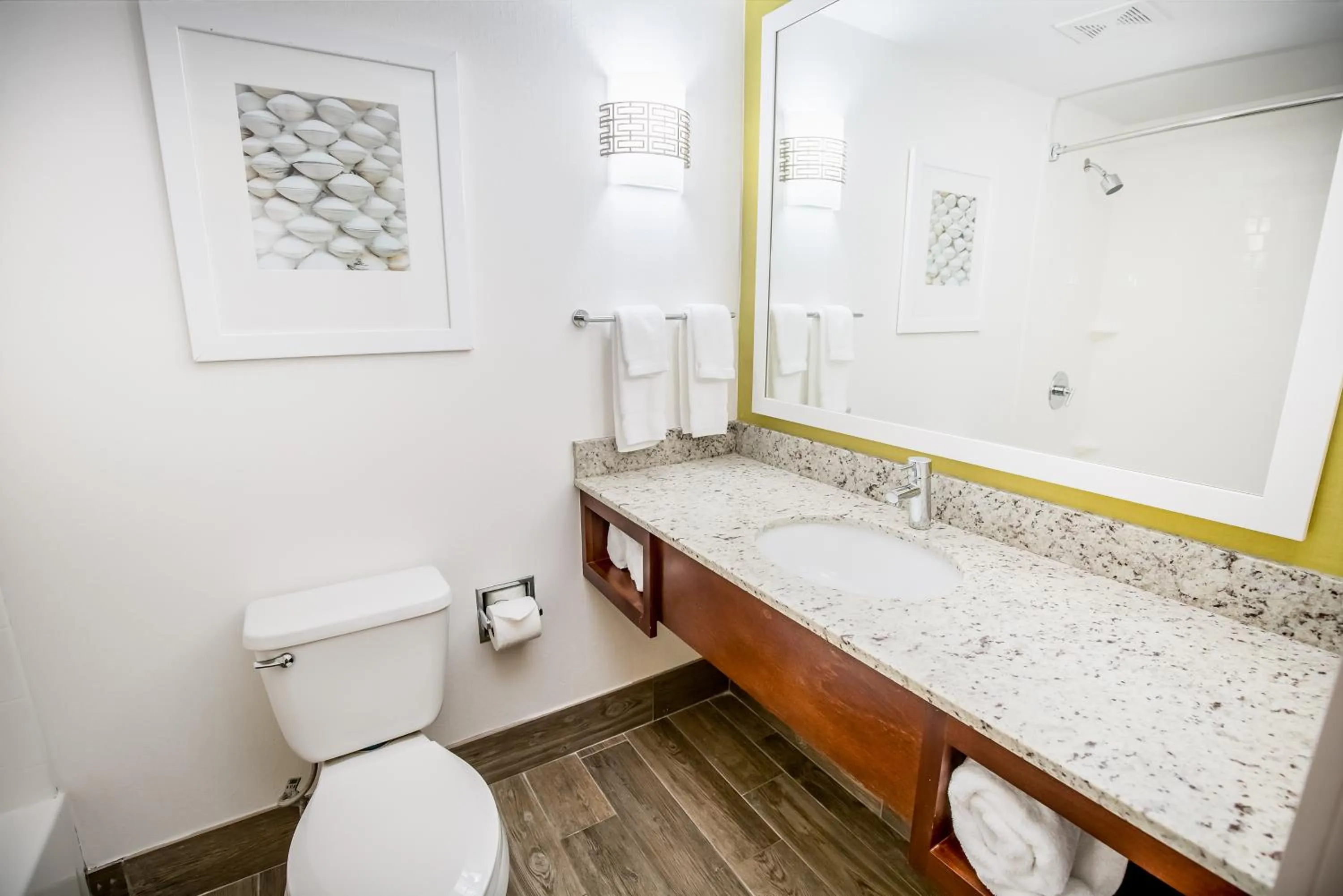 Bathroom in Hilton Garden Inn Orange Beach