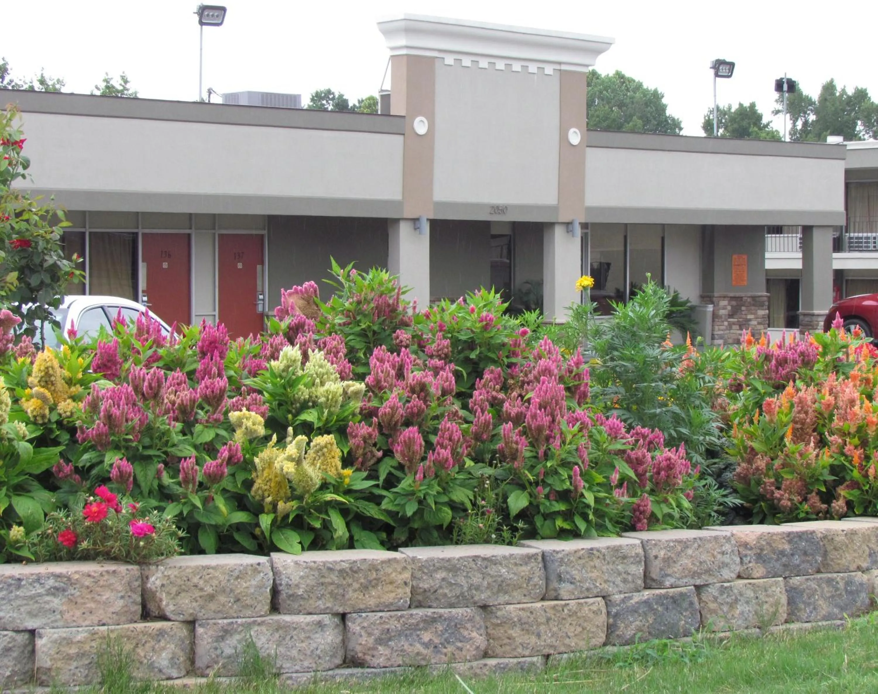 Facade/entrance in Red Carpet Inn - Augusta