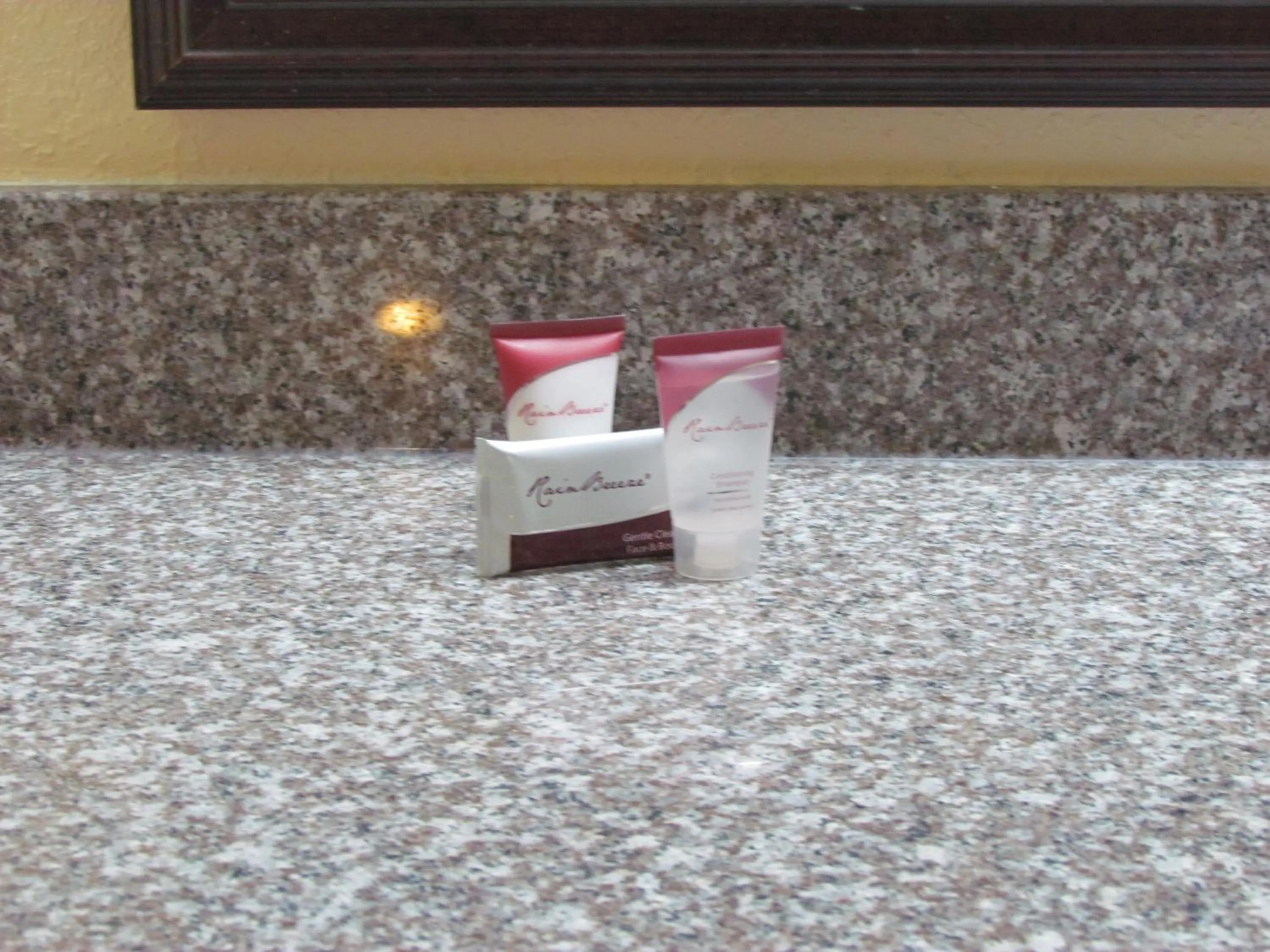 Area and facilities in Red Carpet Inn - Augusta