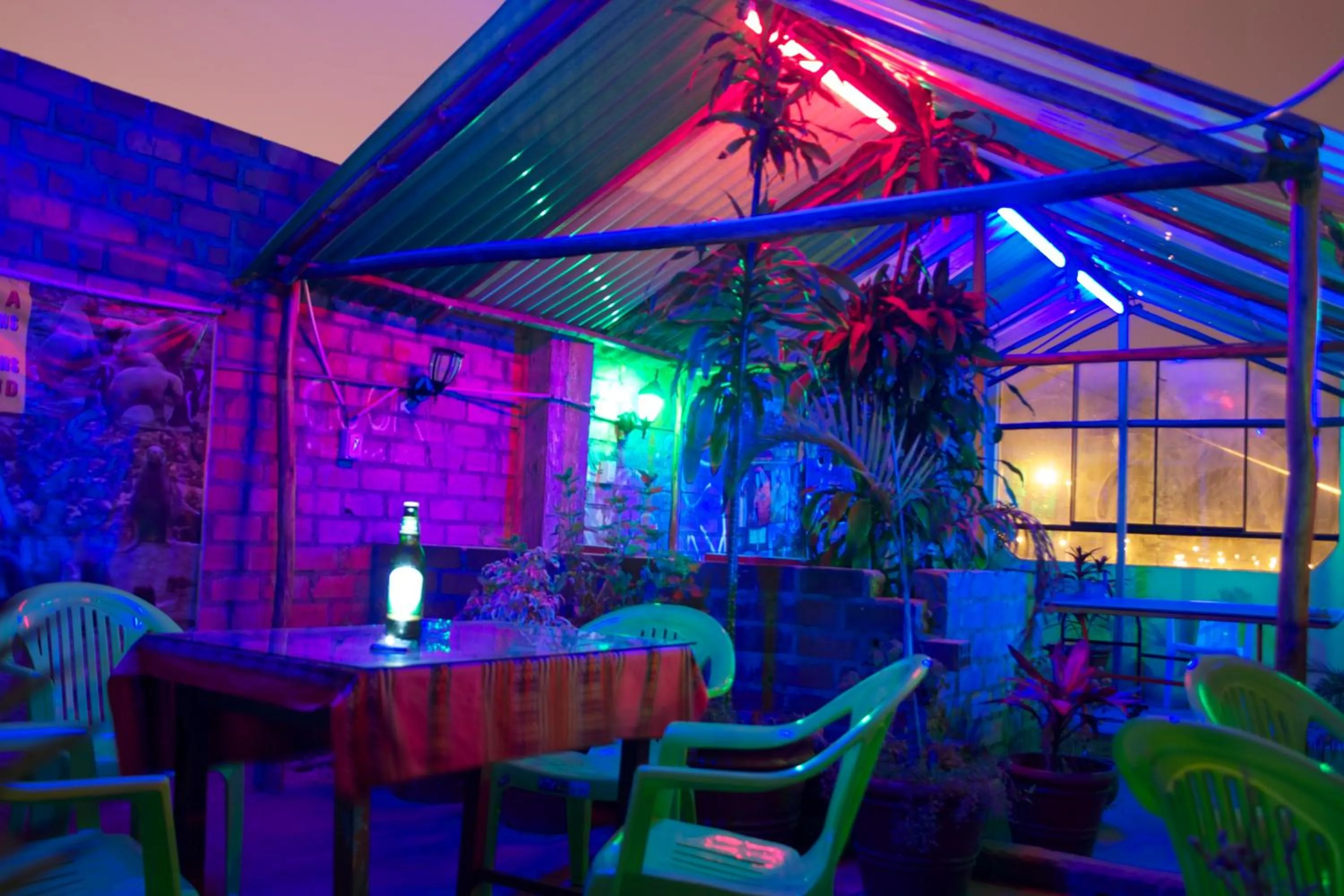 Patio in Paypurix Hostel Lima Airport