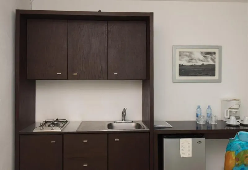 Kitchen or kitchenette in Colombe Hotel Boutique