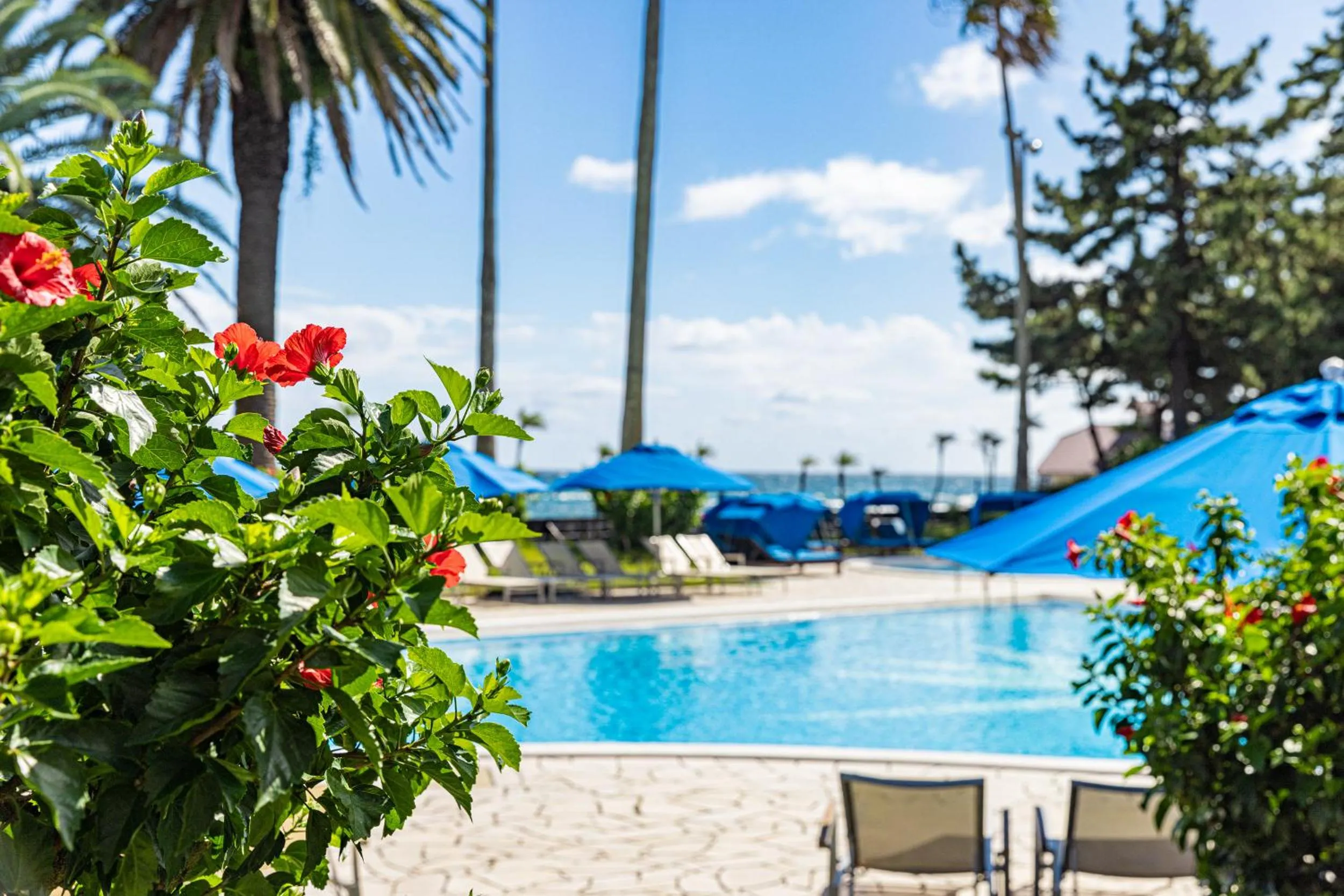 Pool view in Izu Imaihama Tokyu Hotel