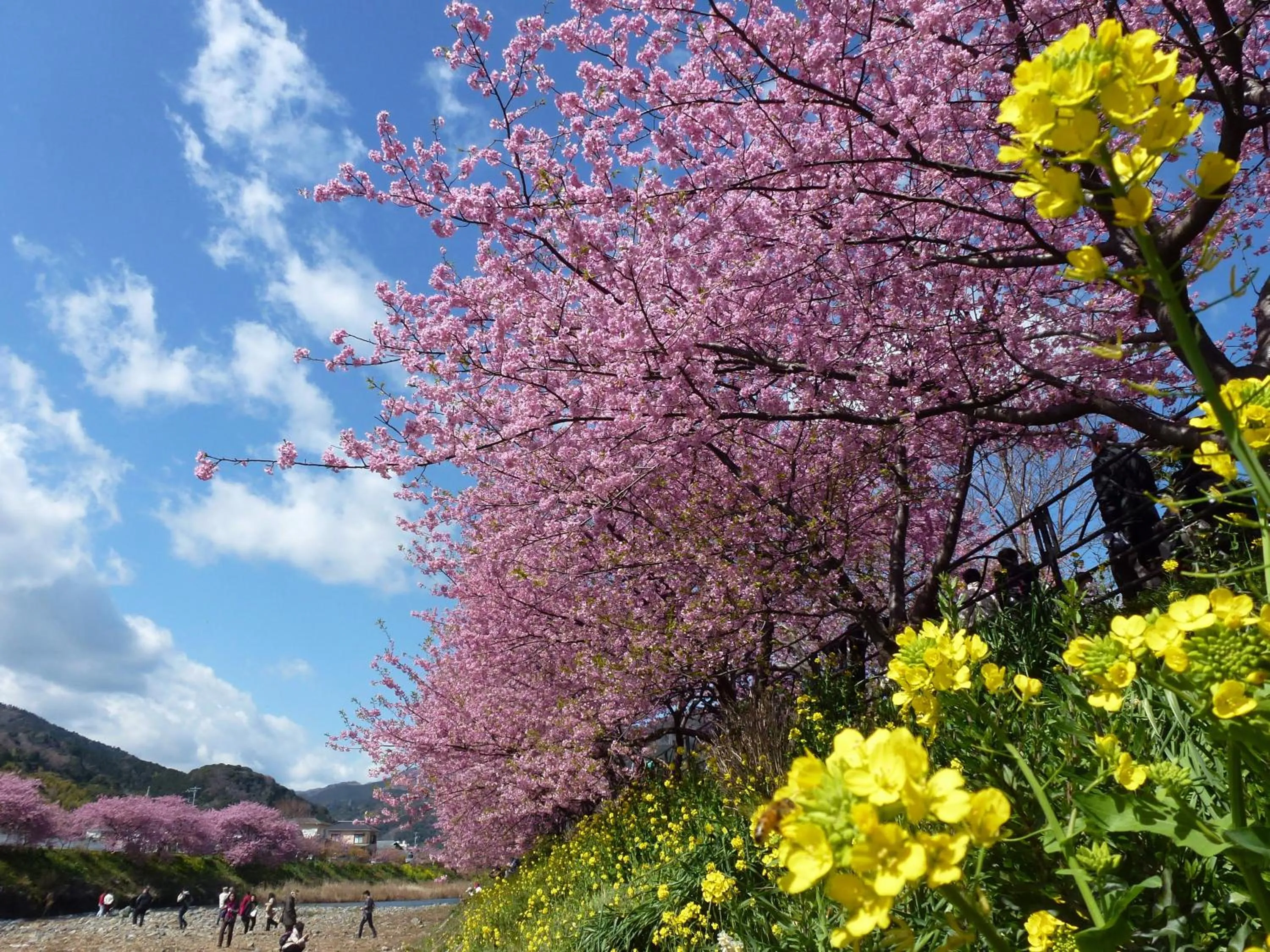 Nearby landmark in Izu Imaihama Tokyu Hotel