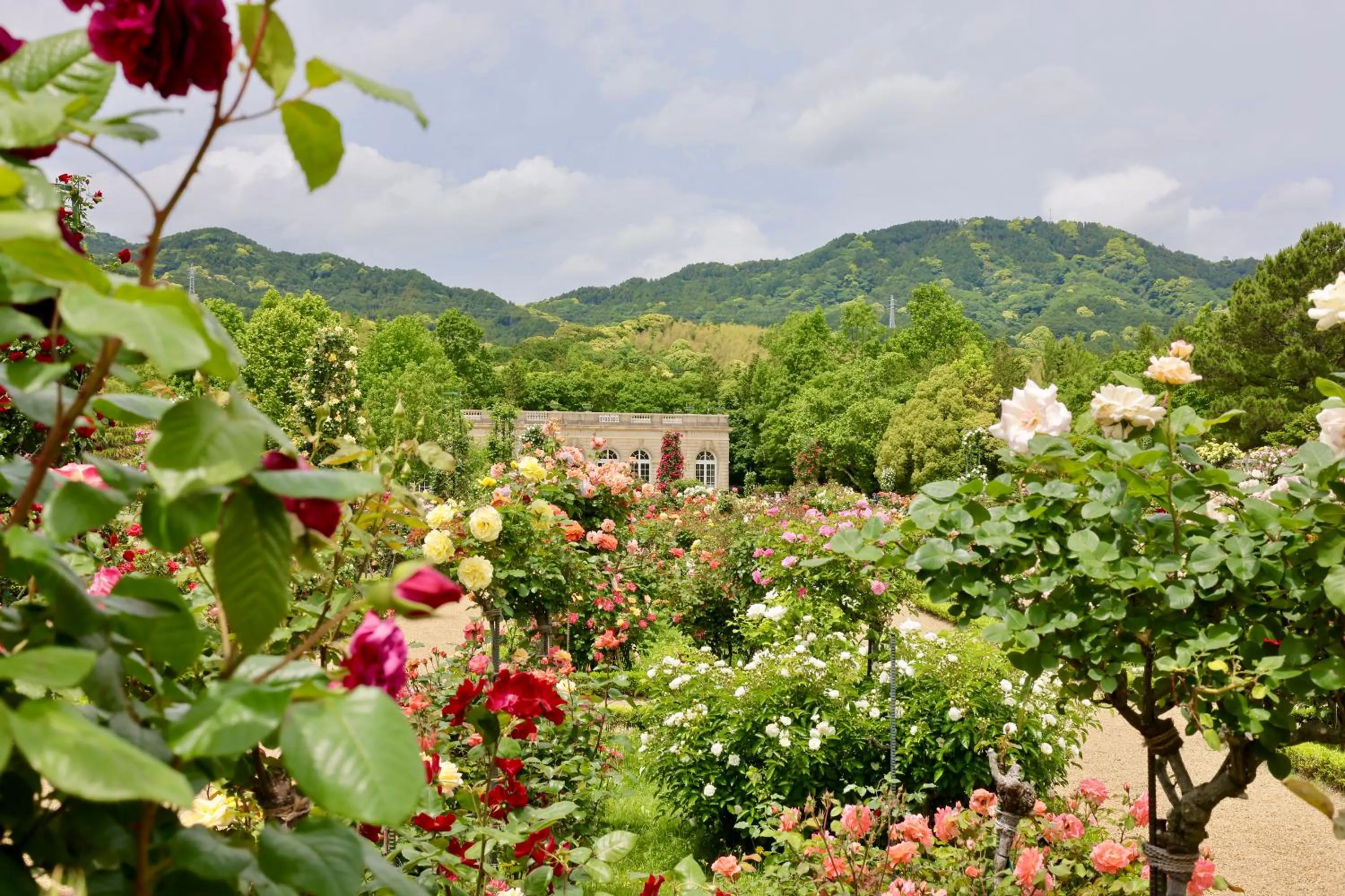 Nearby landmark in Izu Imaihama Tokyu Hotel