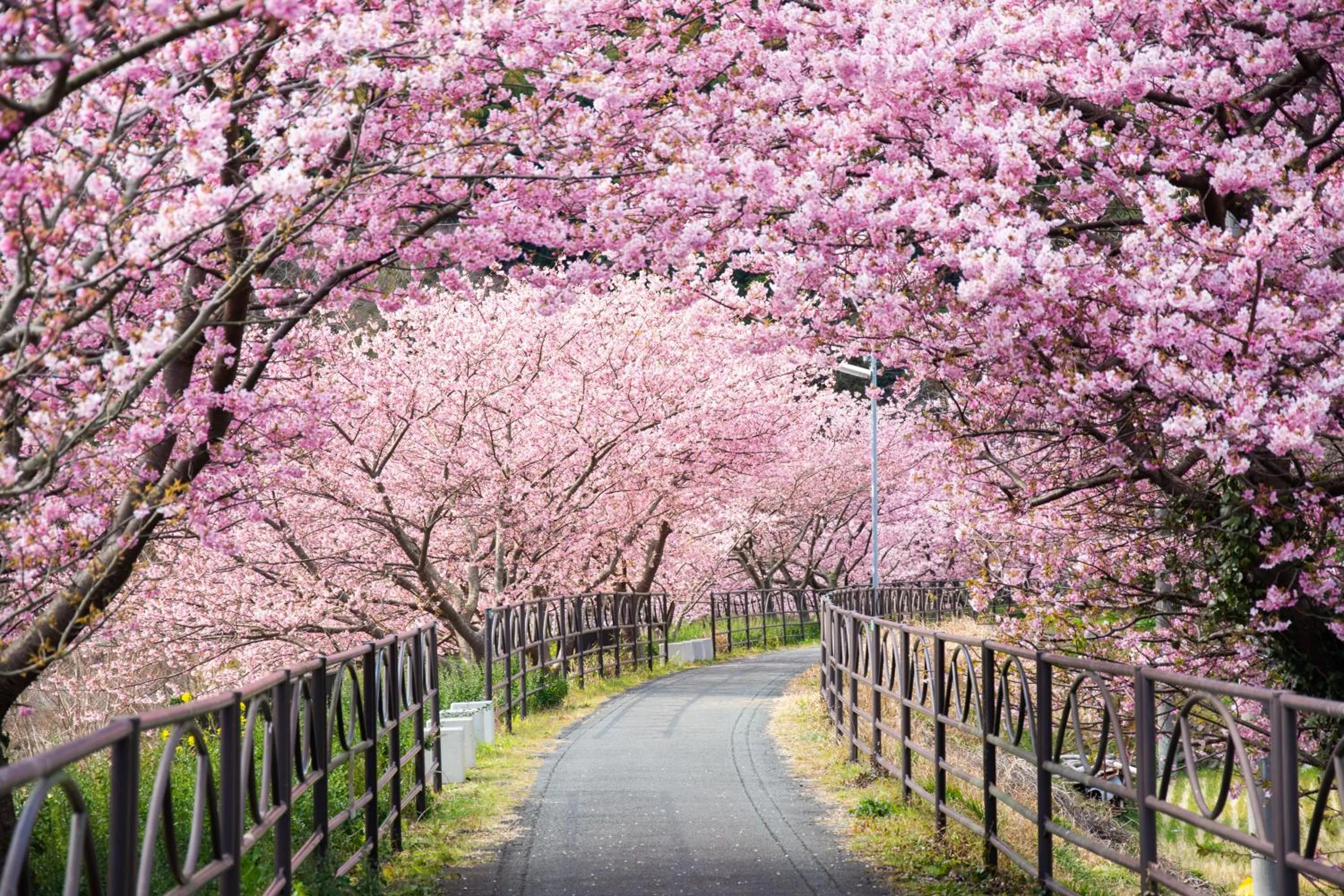Nearby landmark in Izu Imaihama Tokyu Hotel