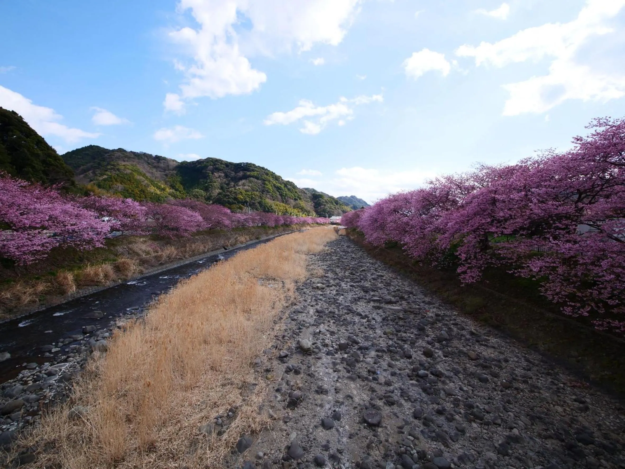 Nearby landmark in Izu Imaihama Tokyu Hotel