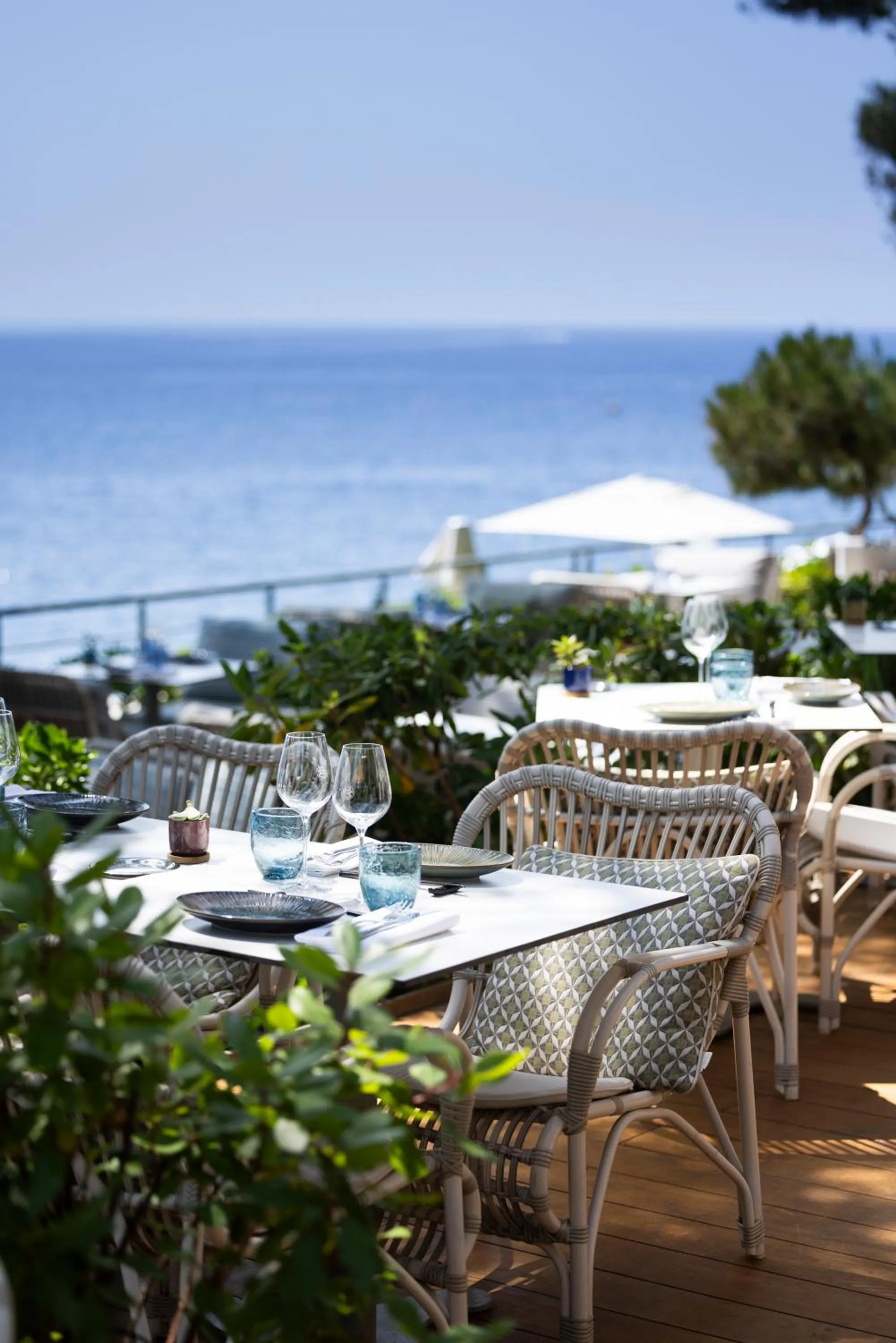 Restaurant/places to eat in Hôtel Les Roches Blanches Cassis