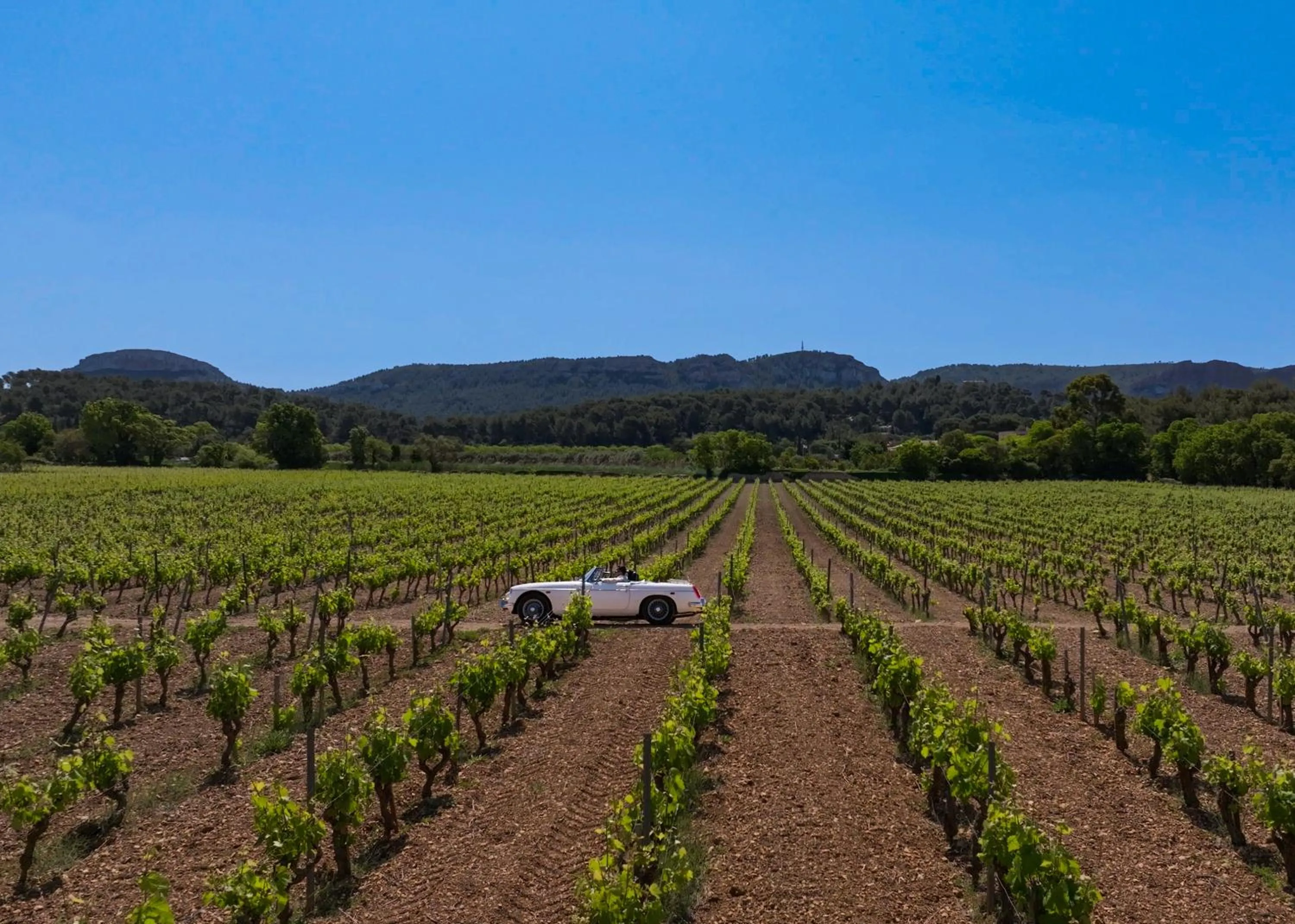 Activities in Hôtel Les Roches Blanches Cassis