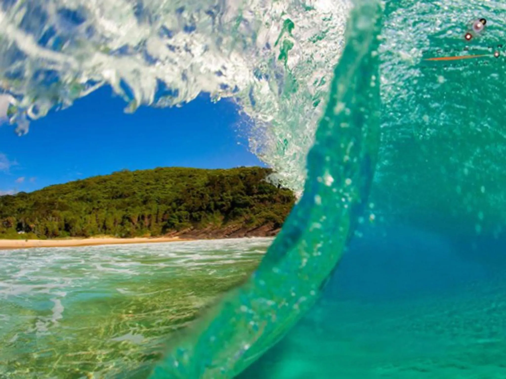 Natural landscape in Blueys Motel