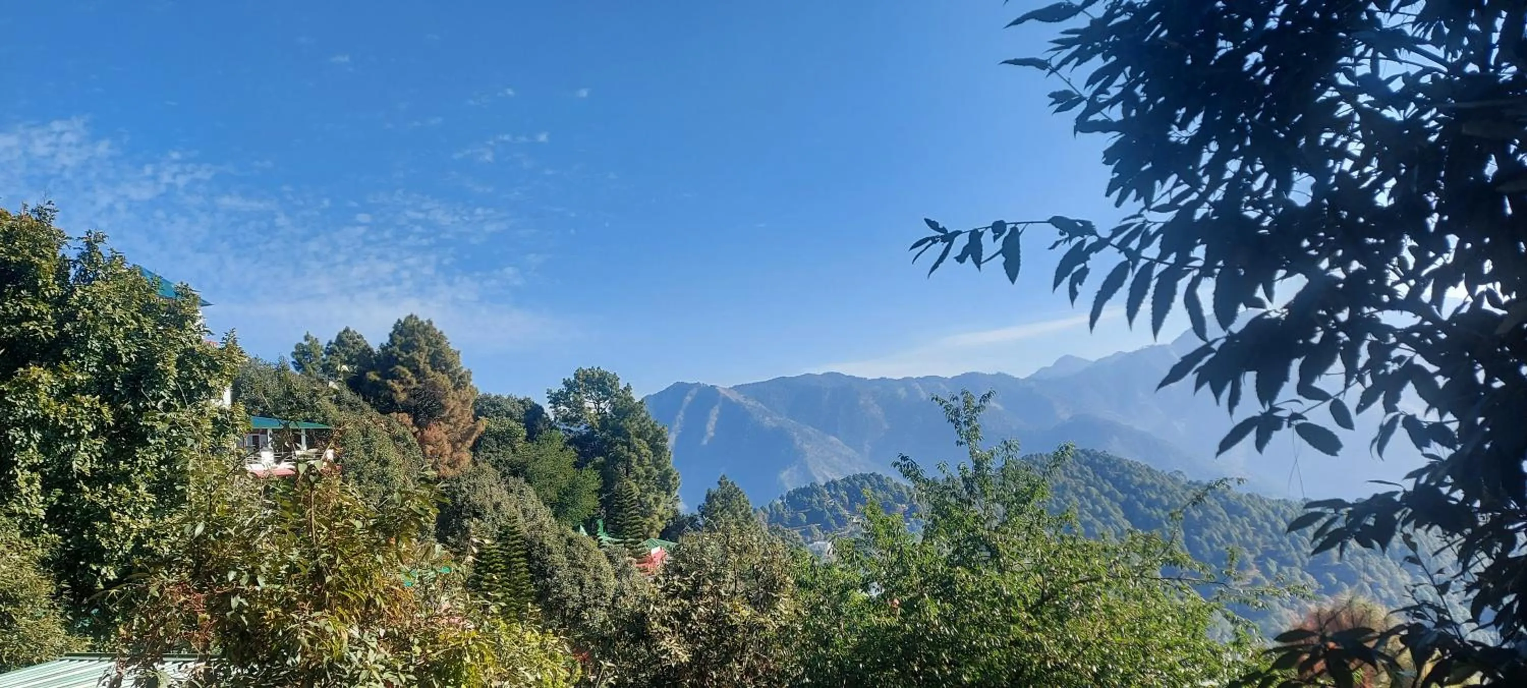 View (from property/room) in Blue Pine Resort