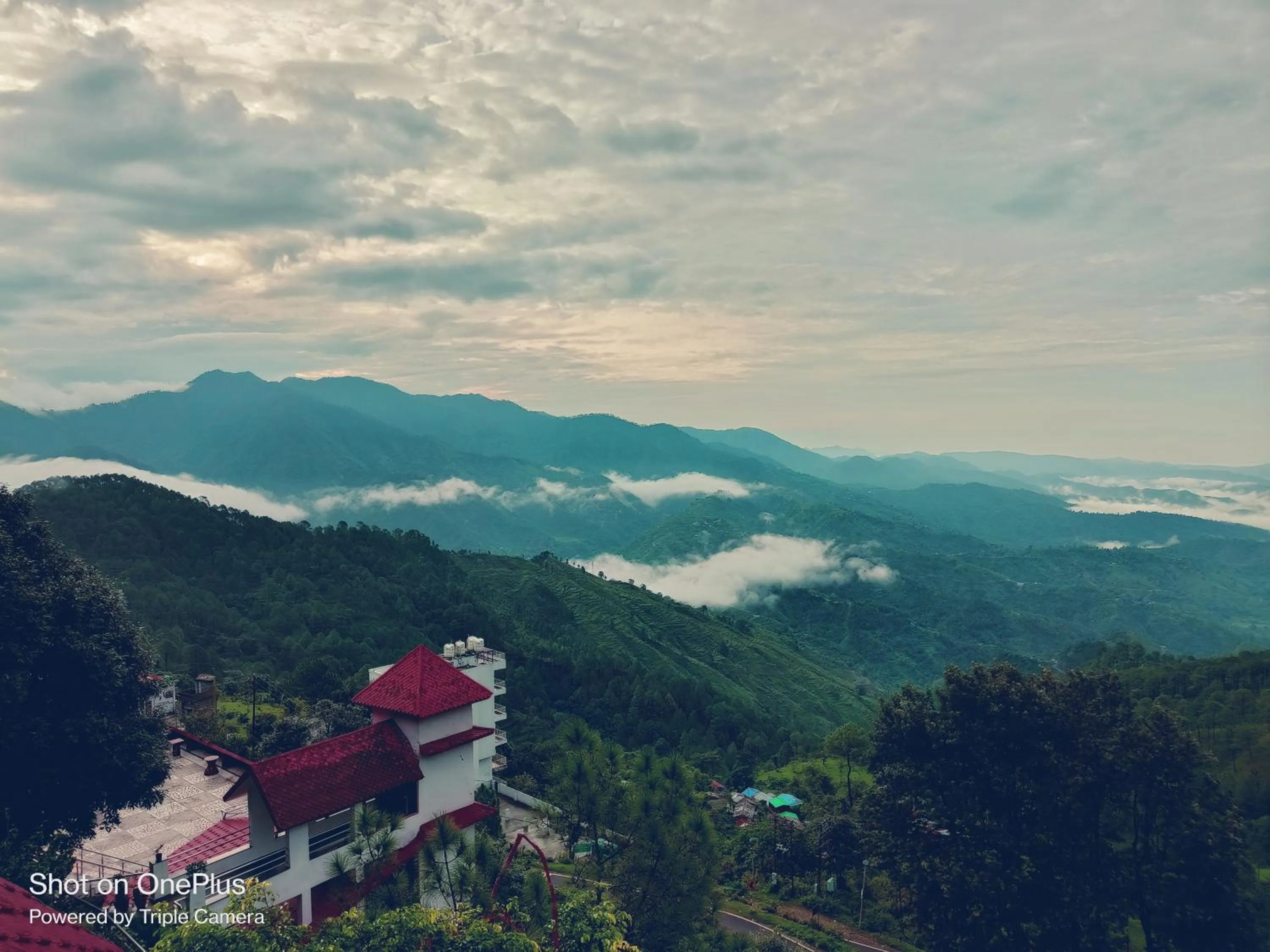 View (from property/room) in Blue Pine Resort