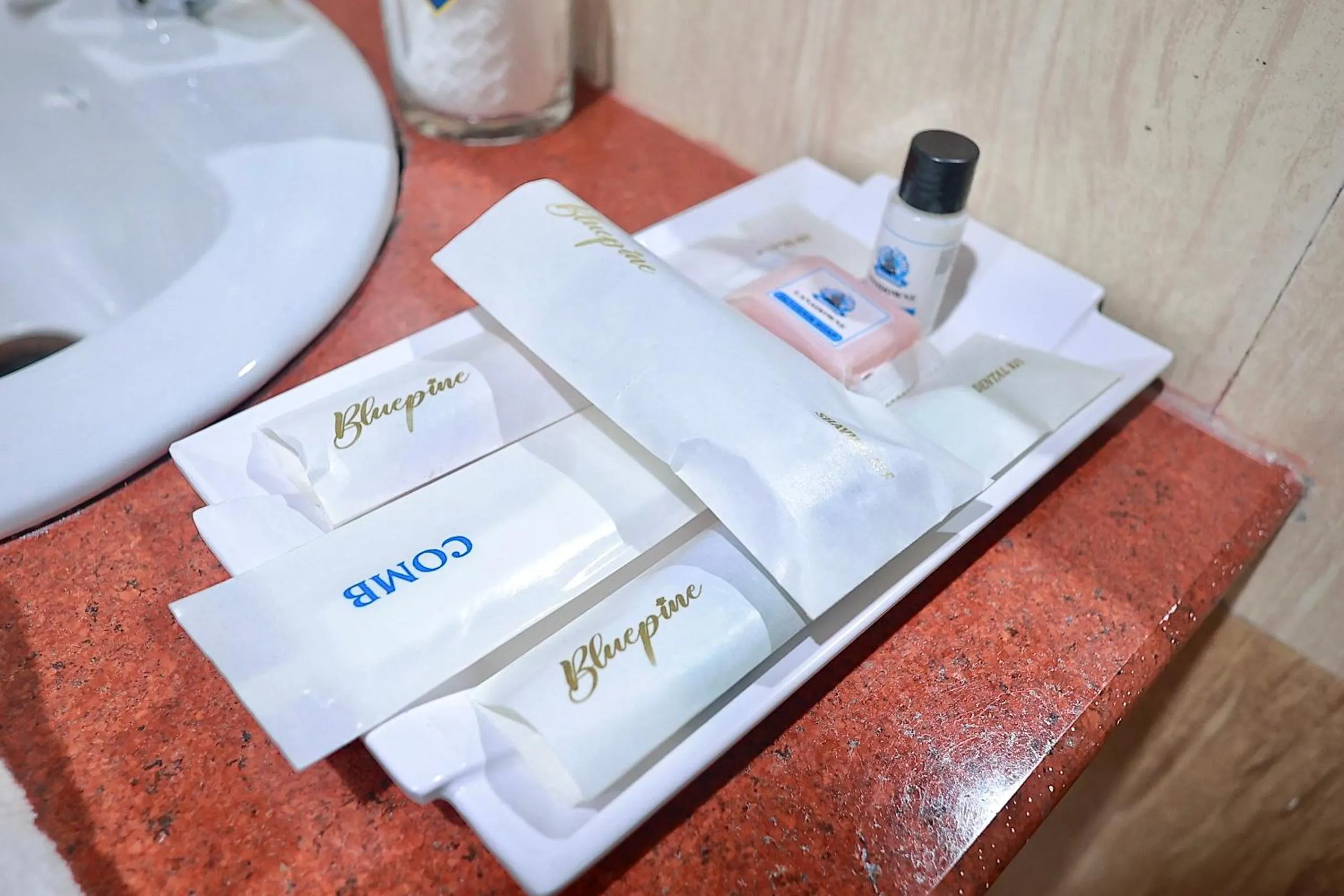 Bathroom in Blue Pine Resort