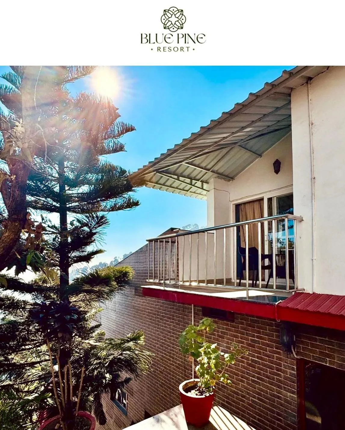 View (from property/room) in Blue Pine Resort