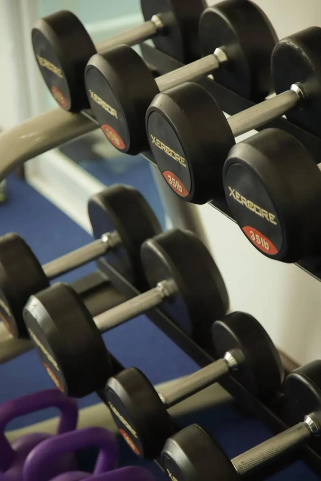 Fitness centre/facilities in Gassan Panorama Golf Club