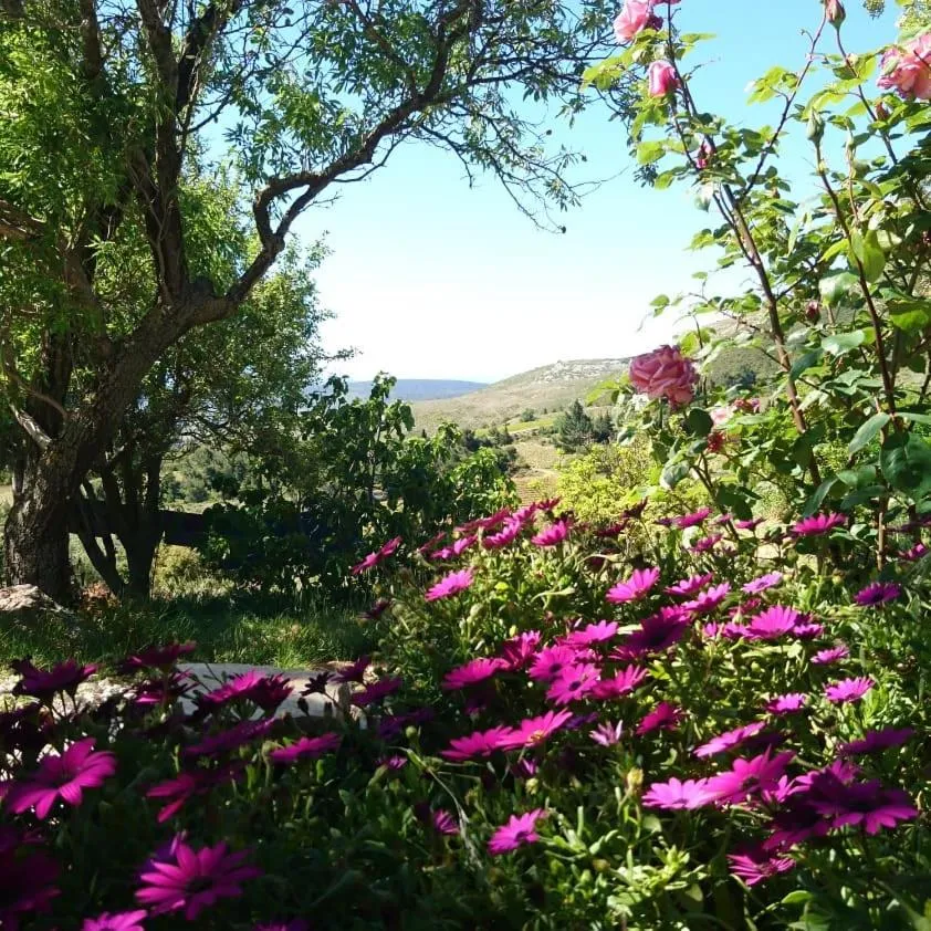 Spring in Chambres d'hôtes Gîte Saint Roch