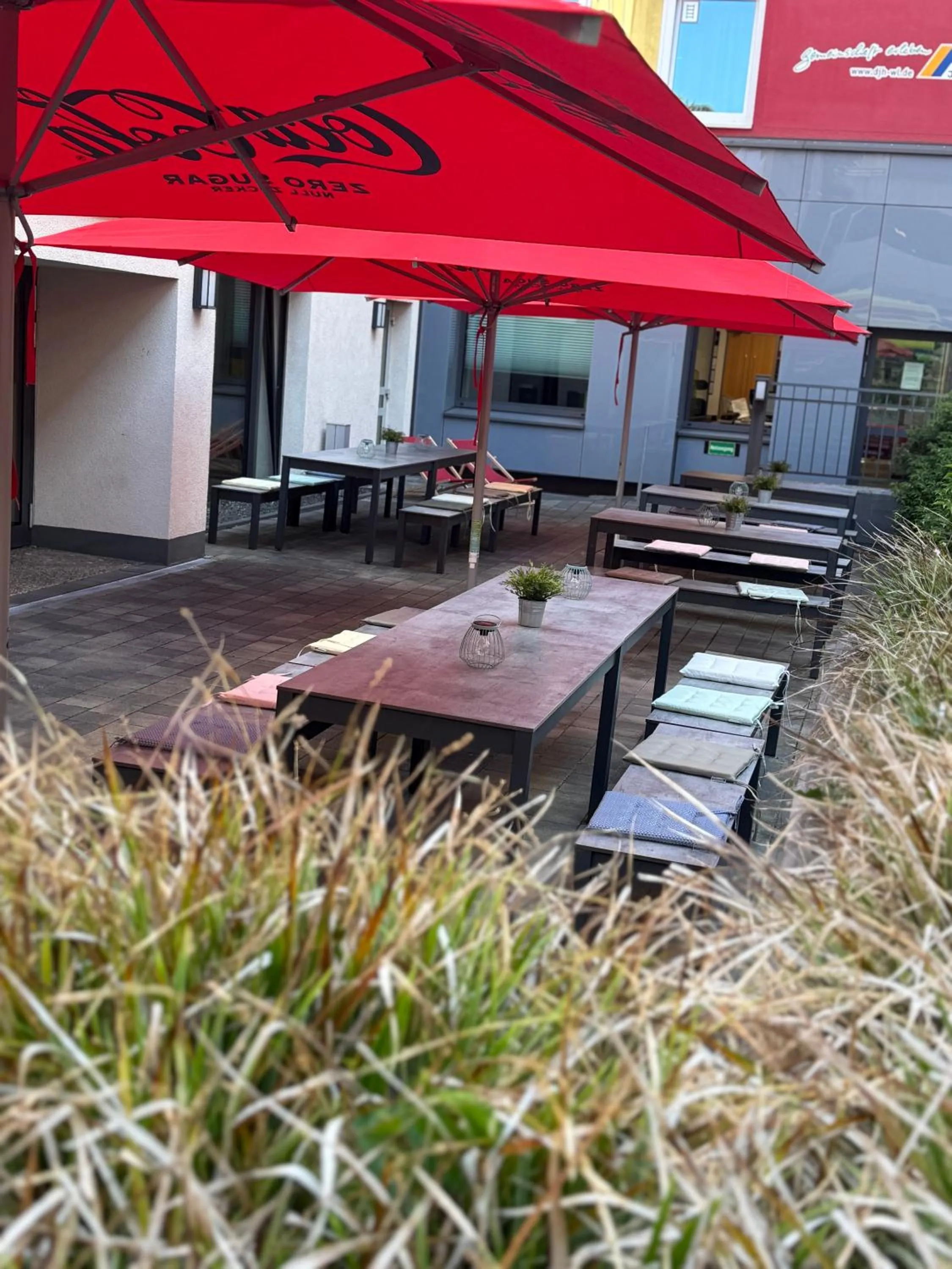 Garden view in DJH Jugendgästehaus Adolph Kolping