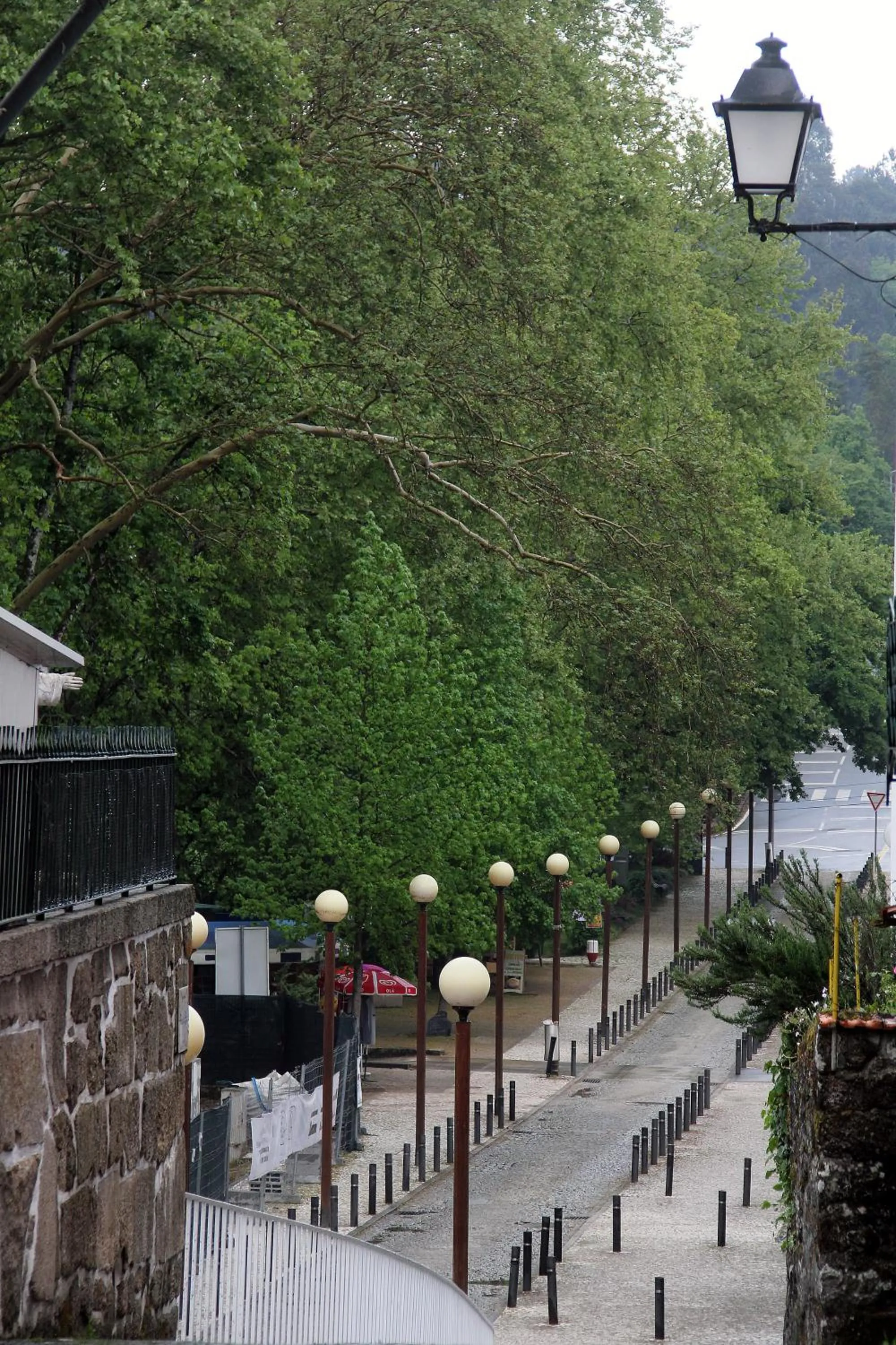 Natural landscape in Casa das Termas
