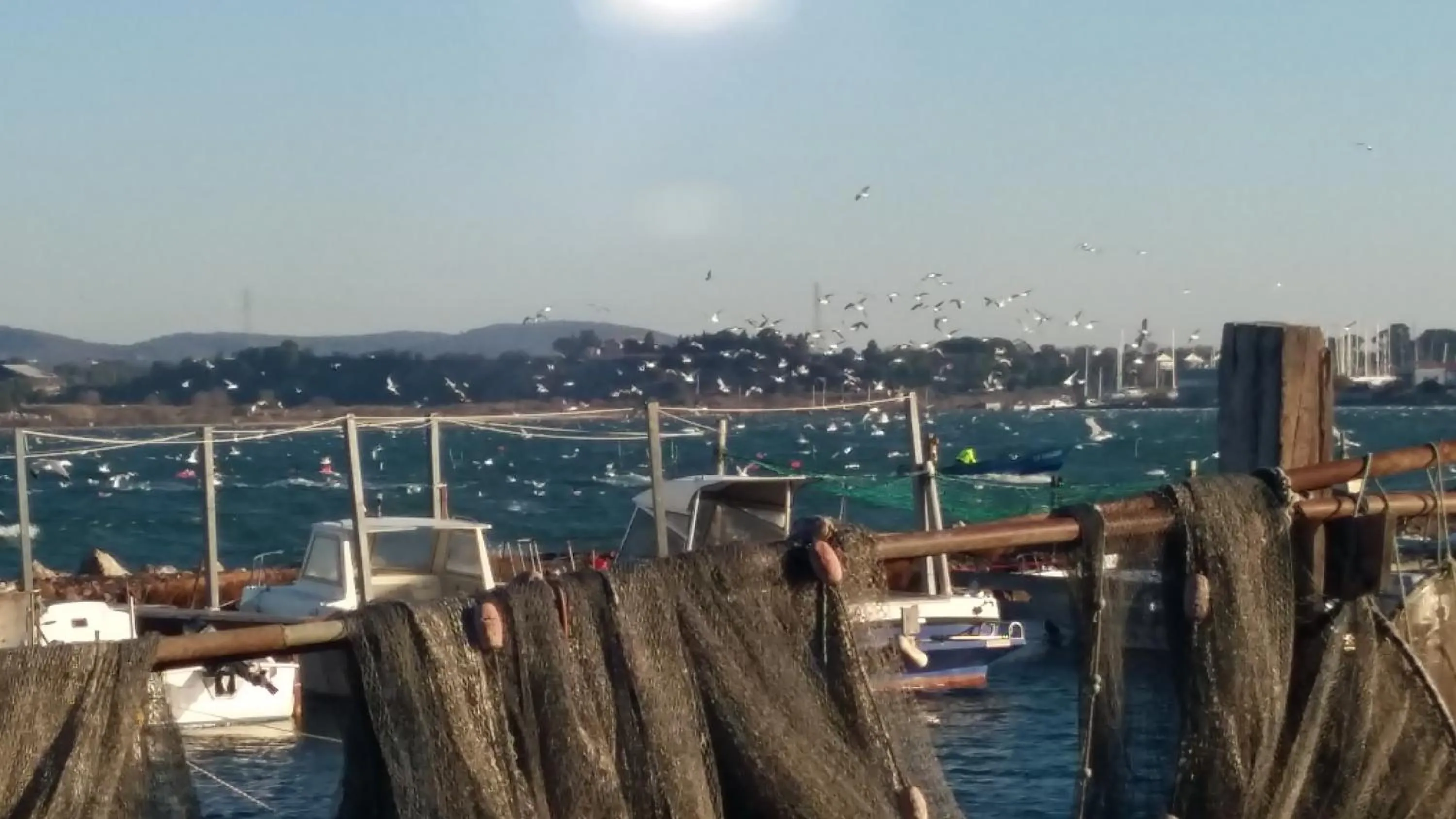 Sea view in LA CABANE D'ISA