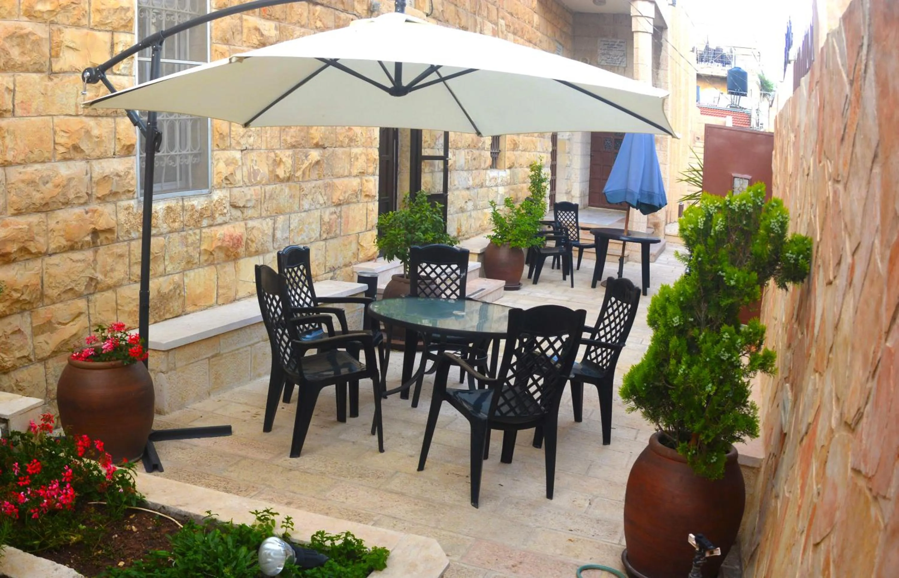 Garden in St Thomas Guesthouse - Jerusalem