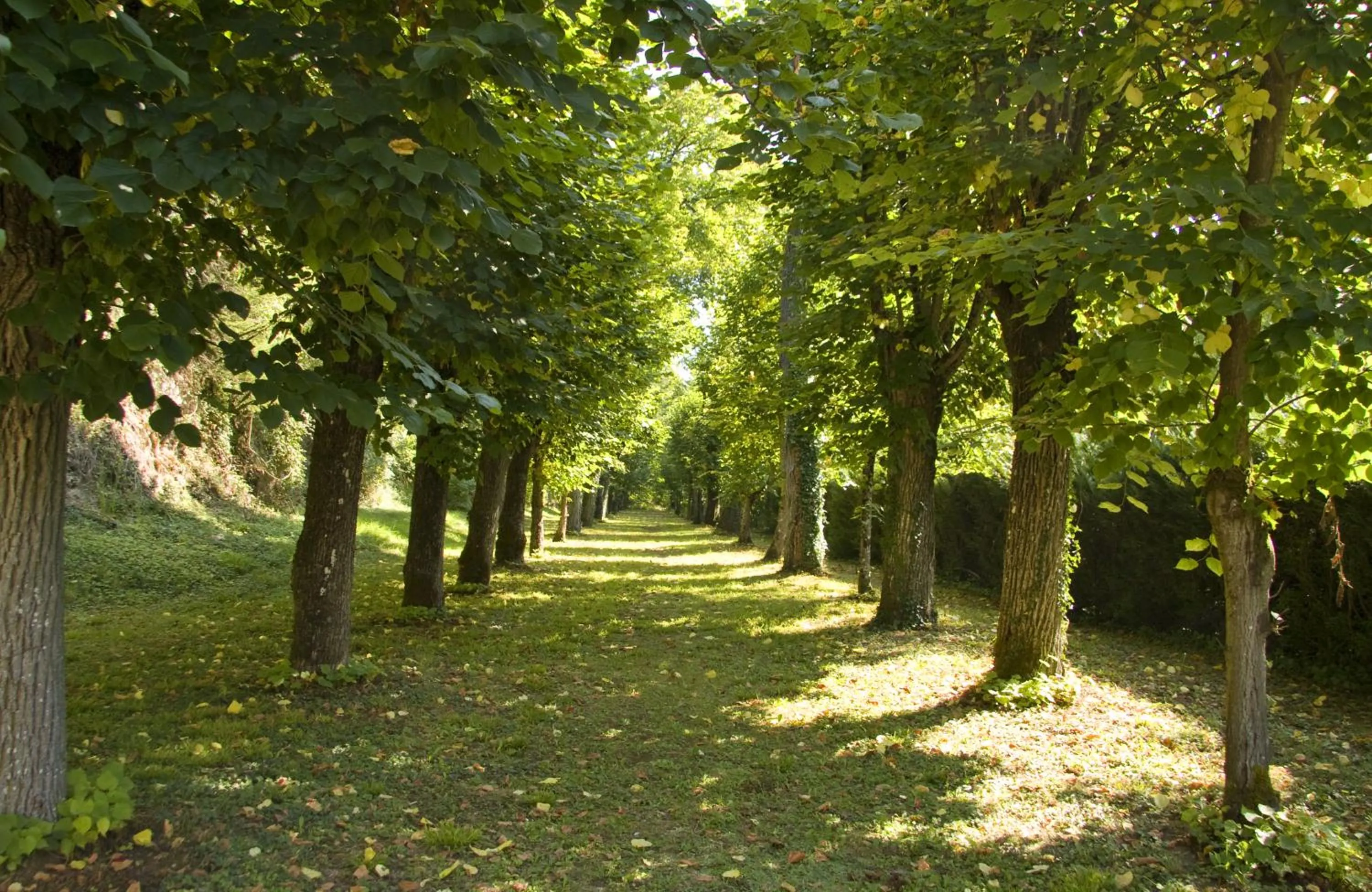 Area and facilities in Château de Chissay